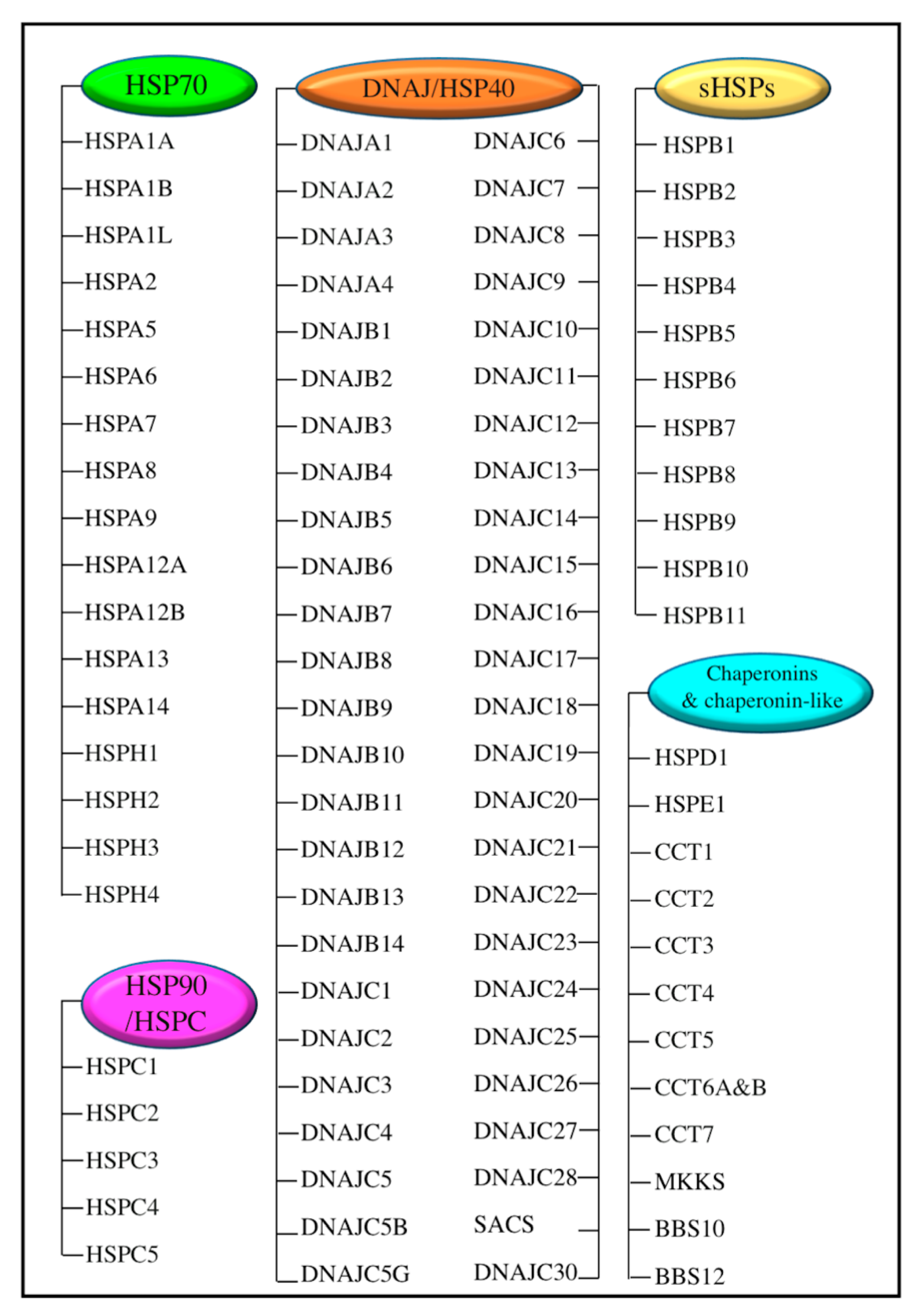 Molecular Mechanisms Of Heat Shock Factor 1 Regulation Trends In