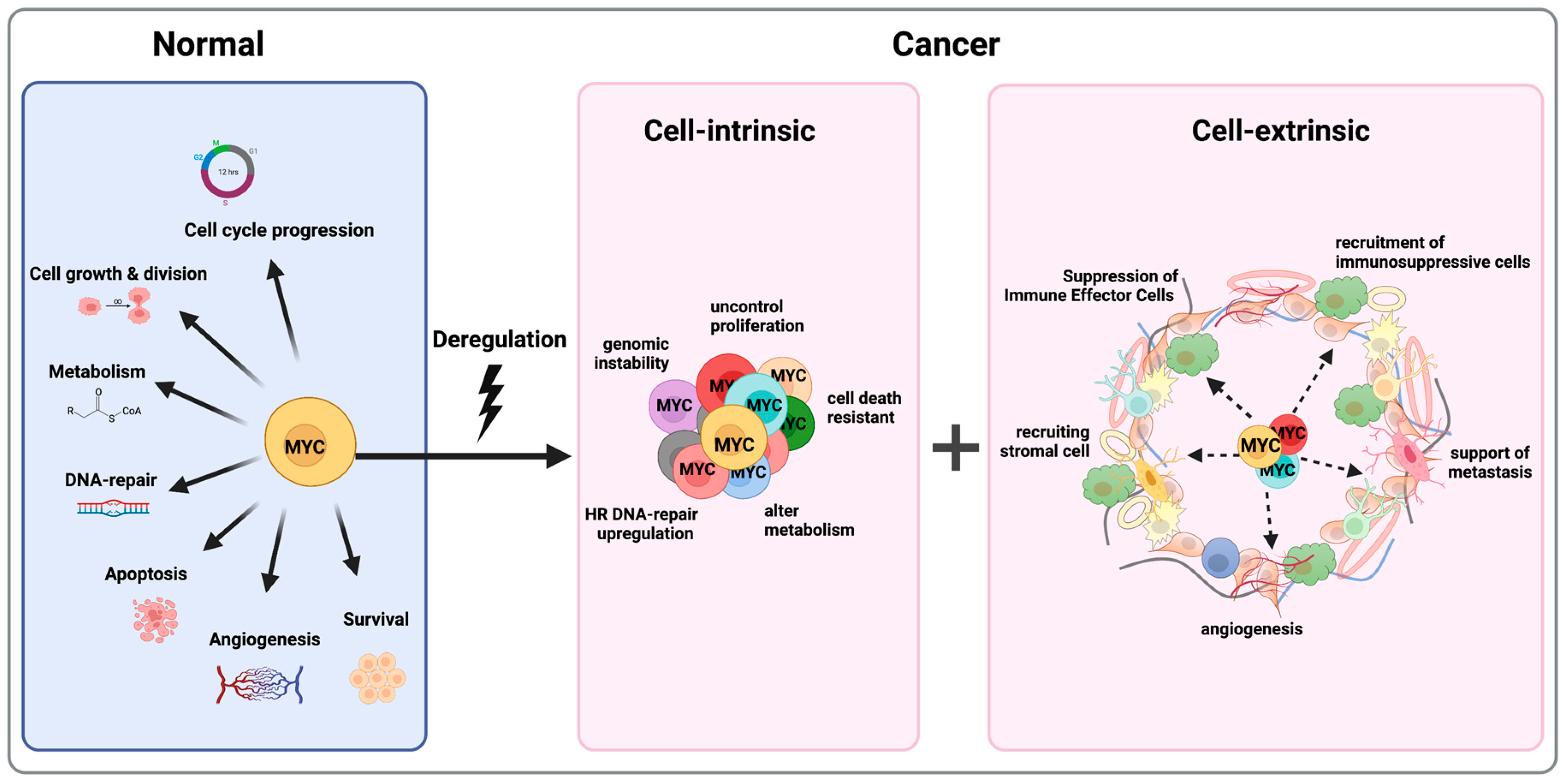 Pathophysiology 30 00031 g003