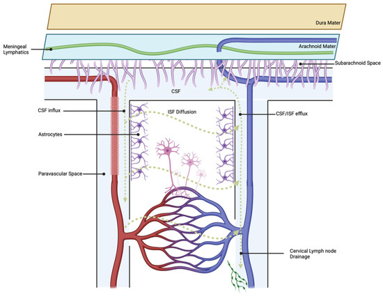 Subarachnoid Hemorrhage, Vasospasm, and Delayed Cerebral Ischemia -  Practical Neurology