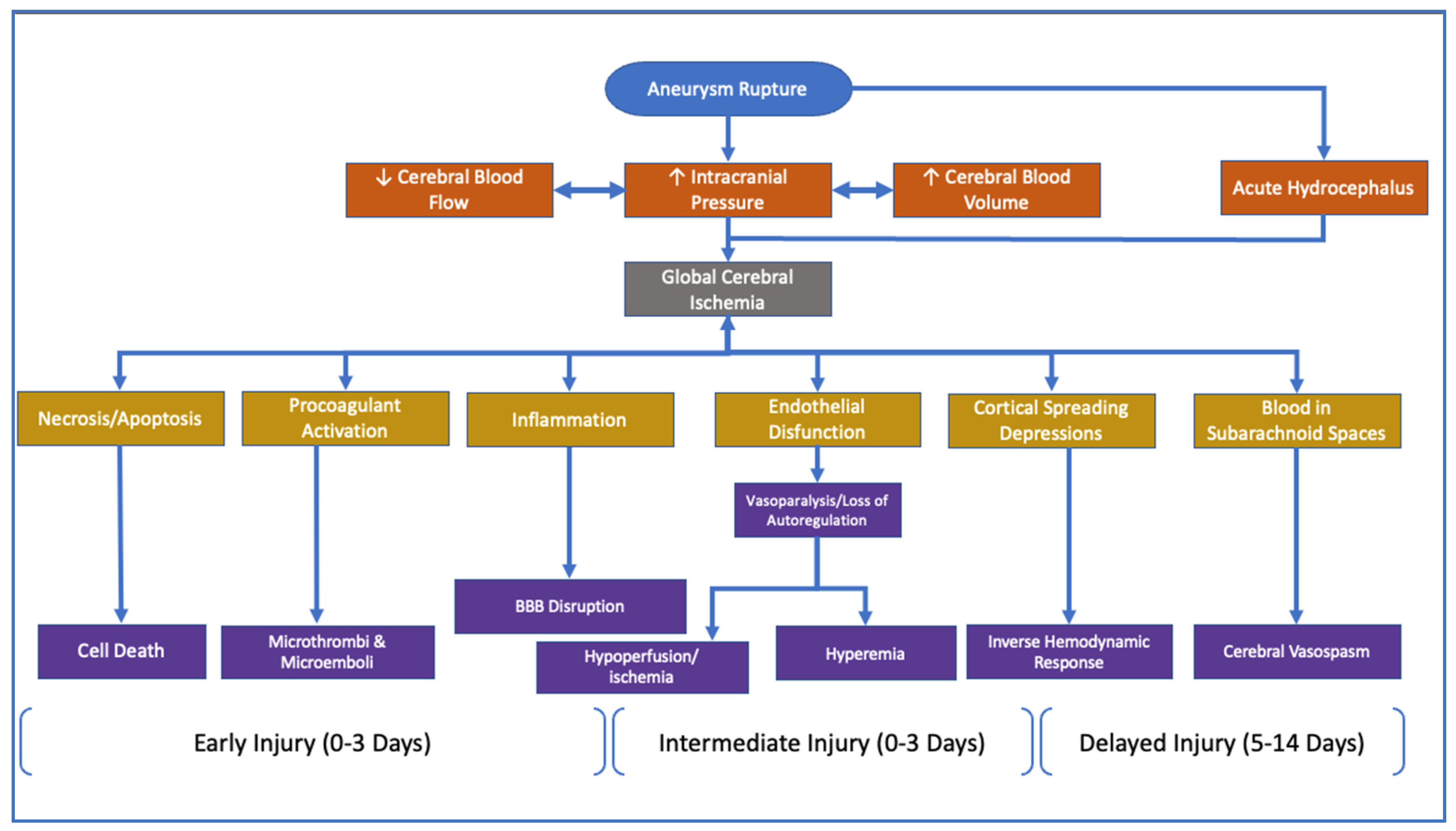 Subarachnoid Hemorrhage, Vasospasm, and Delayed Cerebral Ischemia -  Practical Neurology