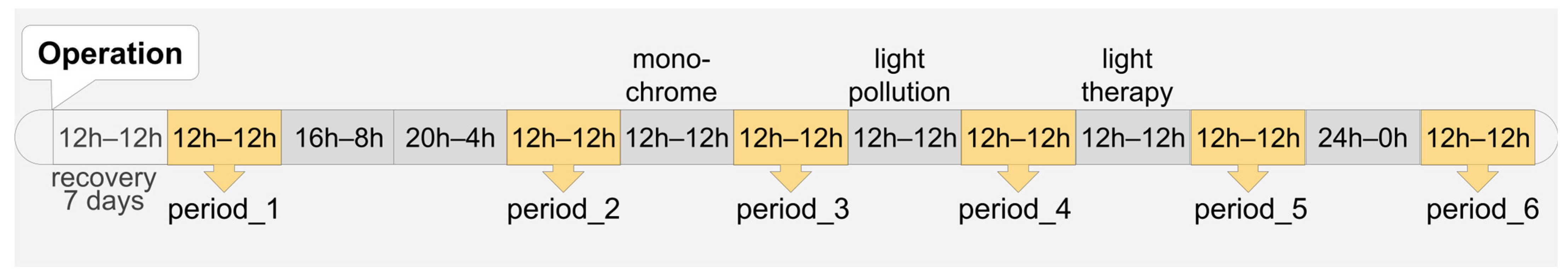 Pathophysiology 31 00010 g001