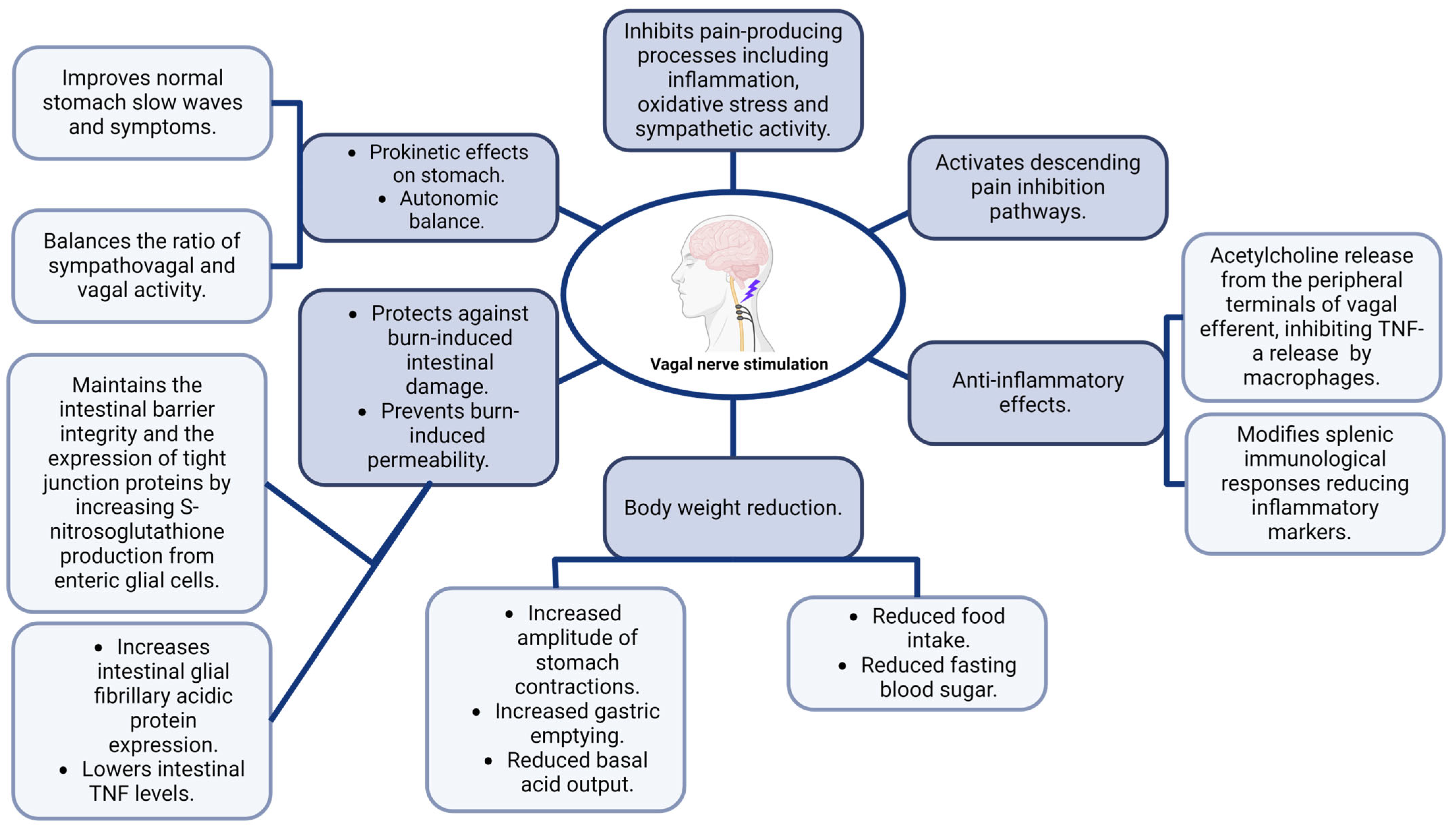 Pathophysiology 31 00019 g002