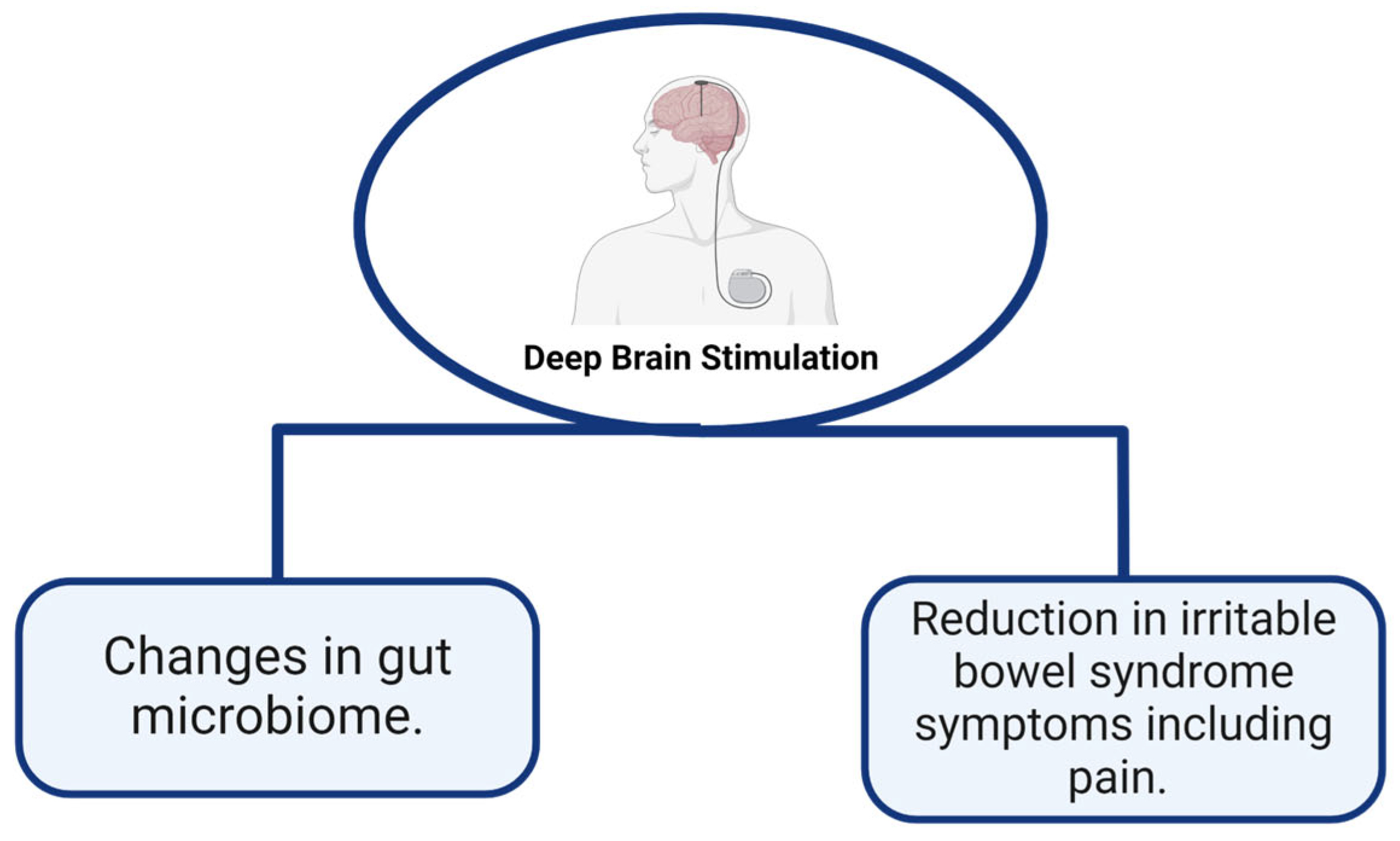 Pathophysiology 31 00019 g003