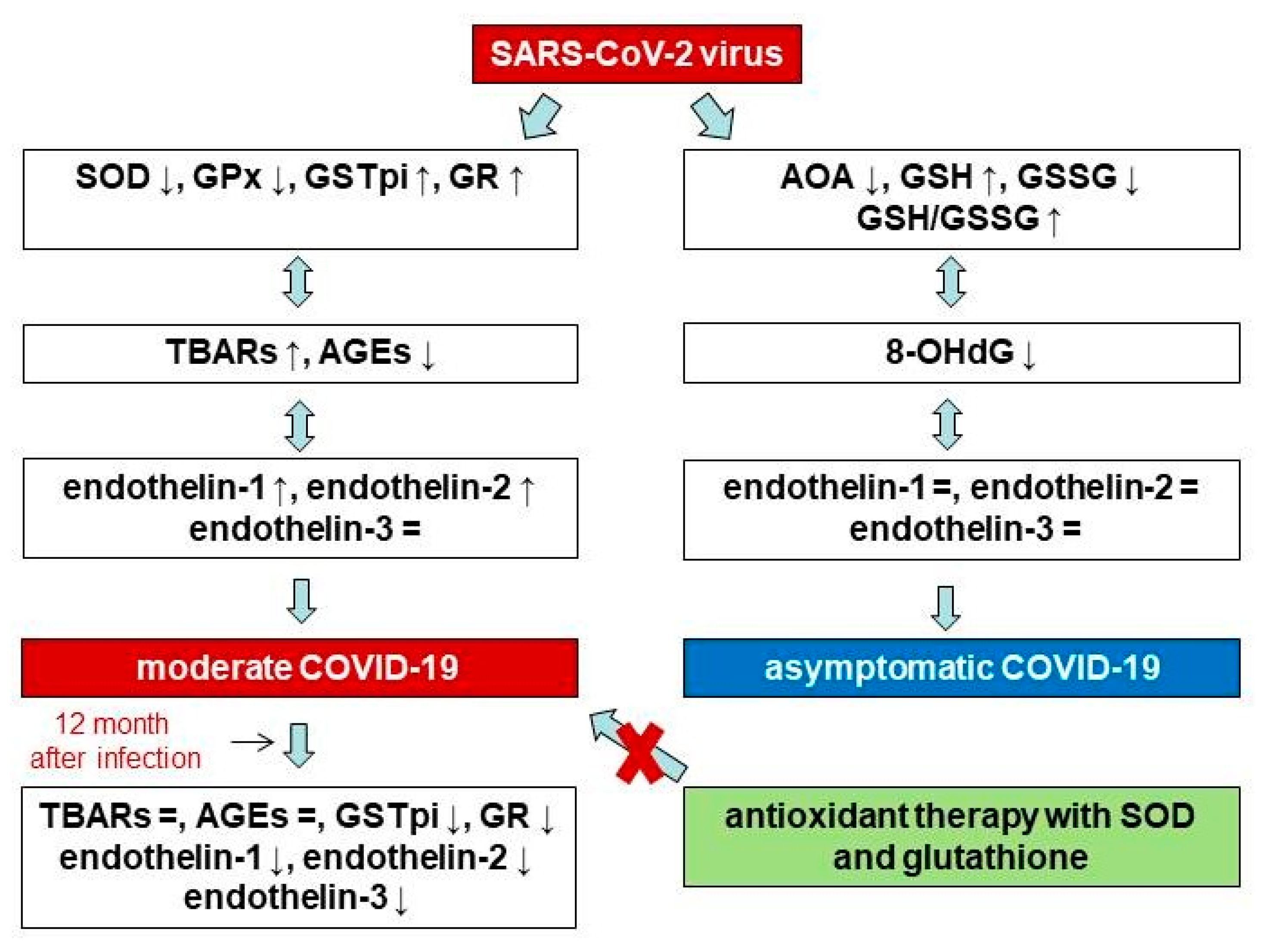 Pathophysiology 31 00033 g007