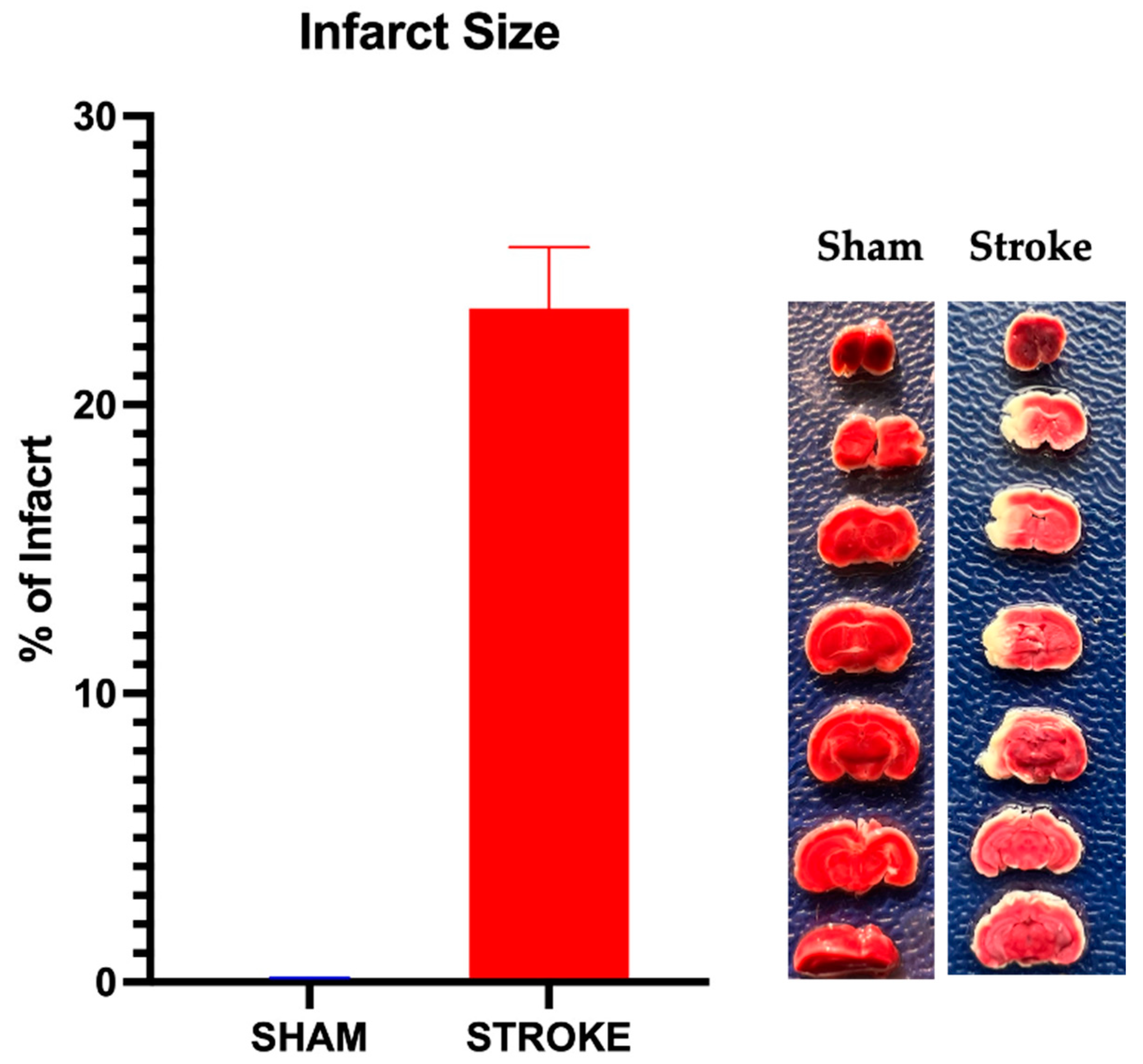 Pathophysiology 31 00036 g007