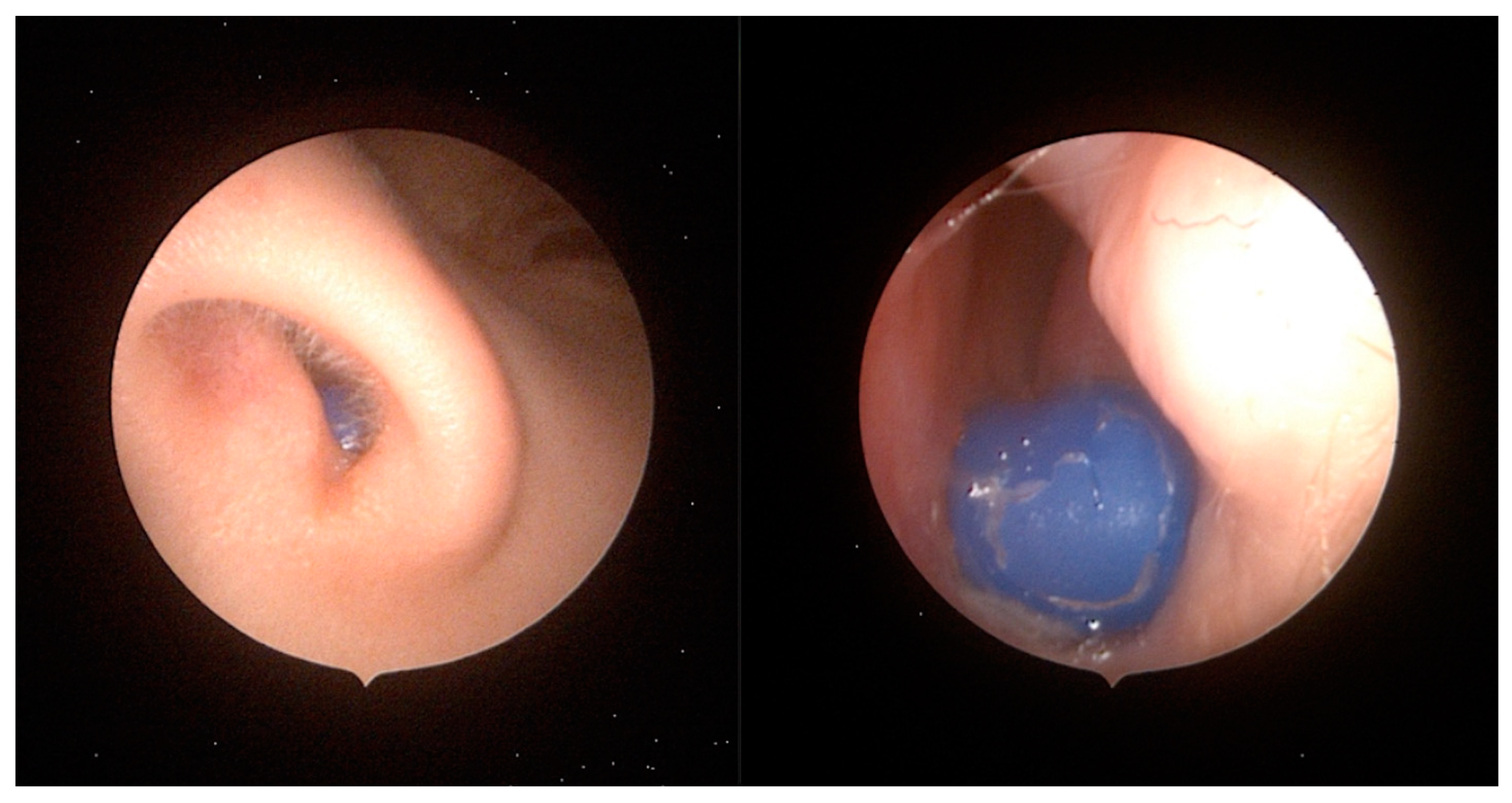 Pediatrrep 16 00042 g003 Pediatrrep 16 00042 g003