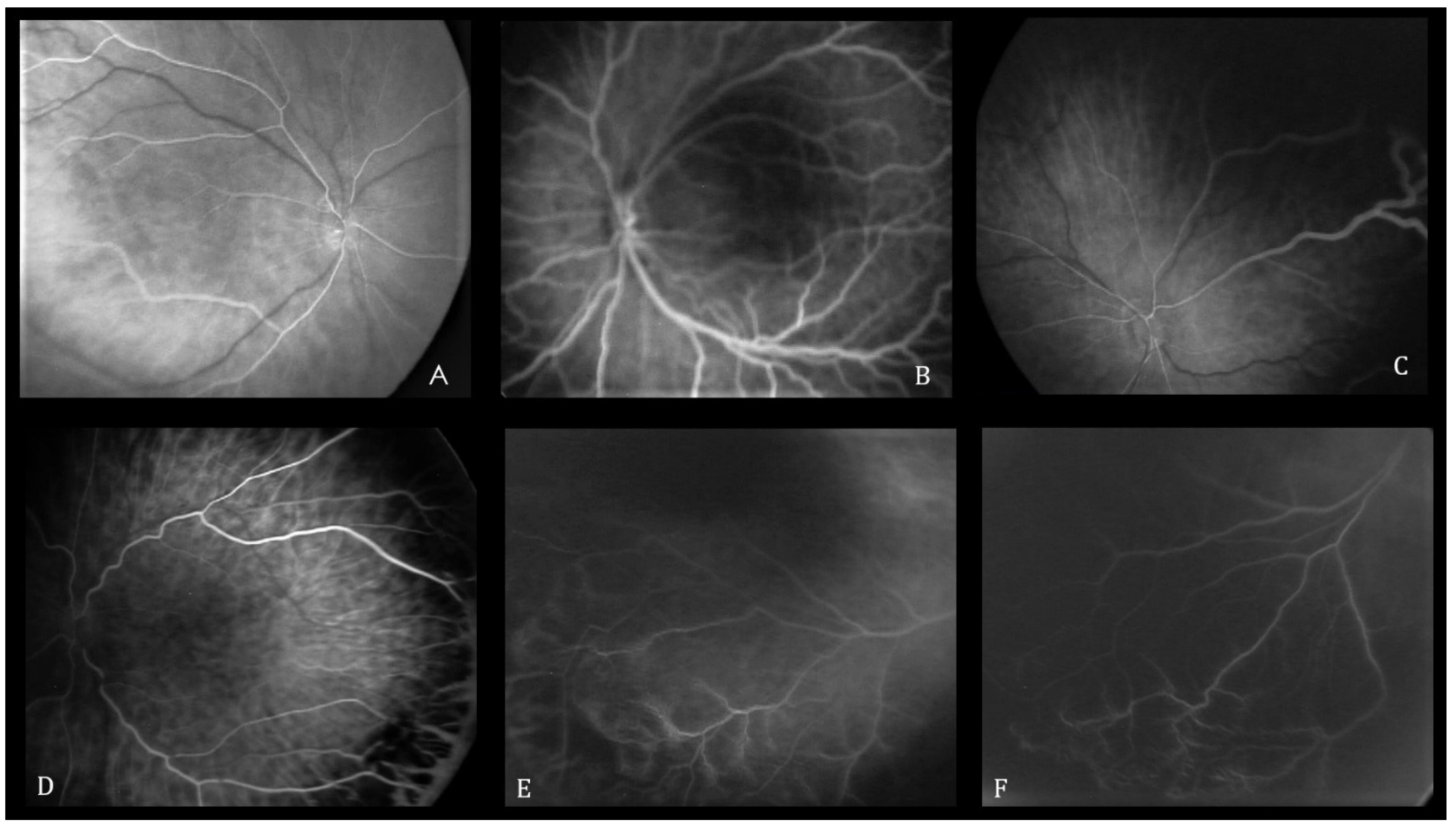 Pediatrrep 16 00050 g001