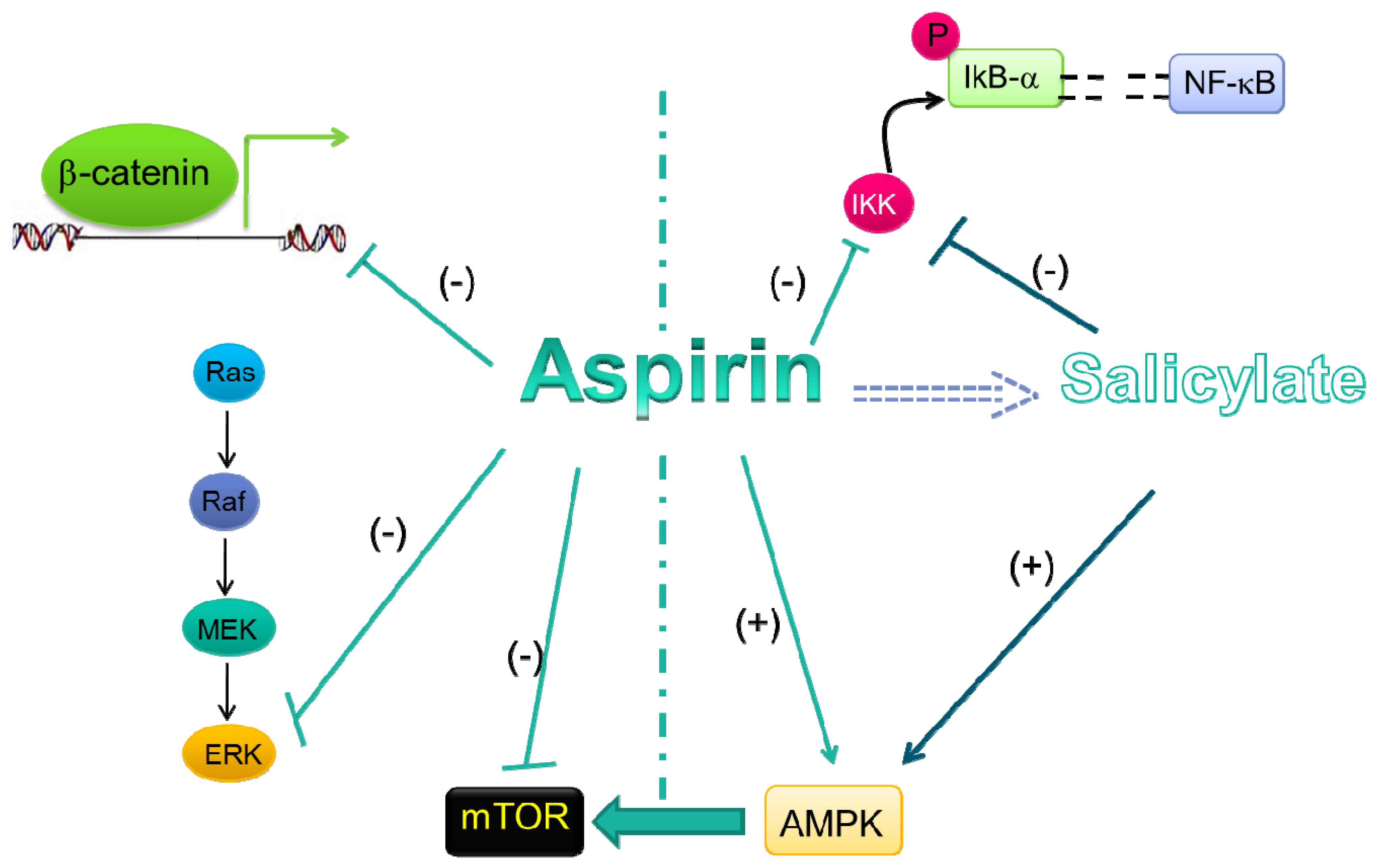 Pharmaceuticals | Free Full-Text | Mechanistic and Pharmacological Issues  of Aspirin as an Anticancer Agent