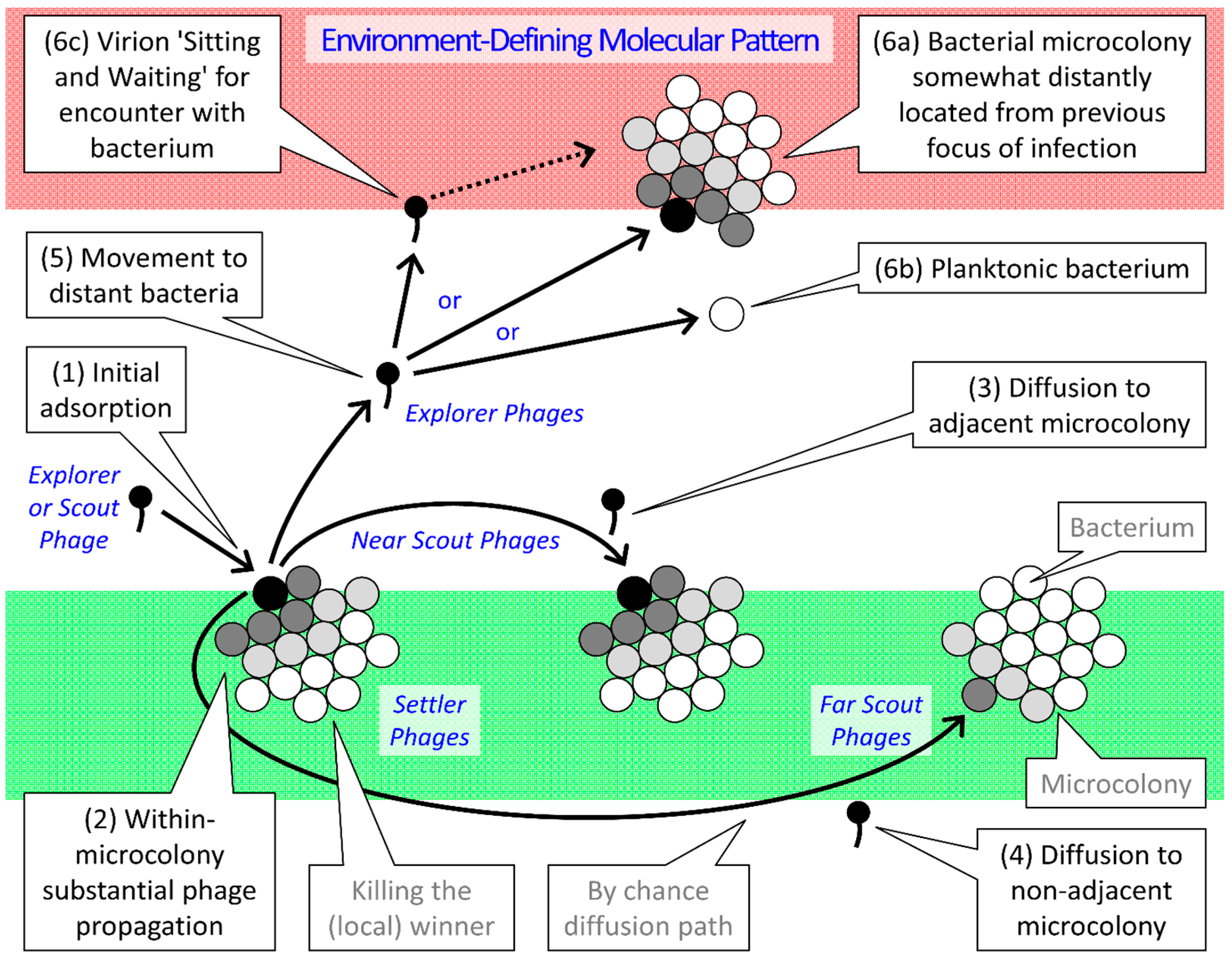 Pharmaceuticals | Free Full-Text | Ecology of Anti-Biofilm Agents II