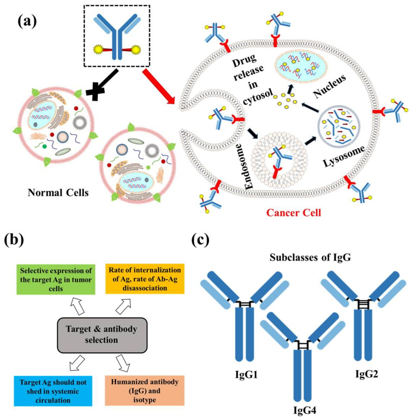 Pharmaceuticals 11 00032 g002