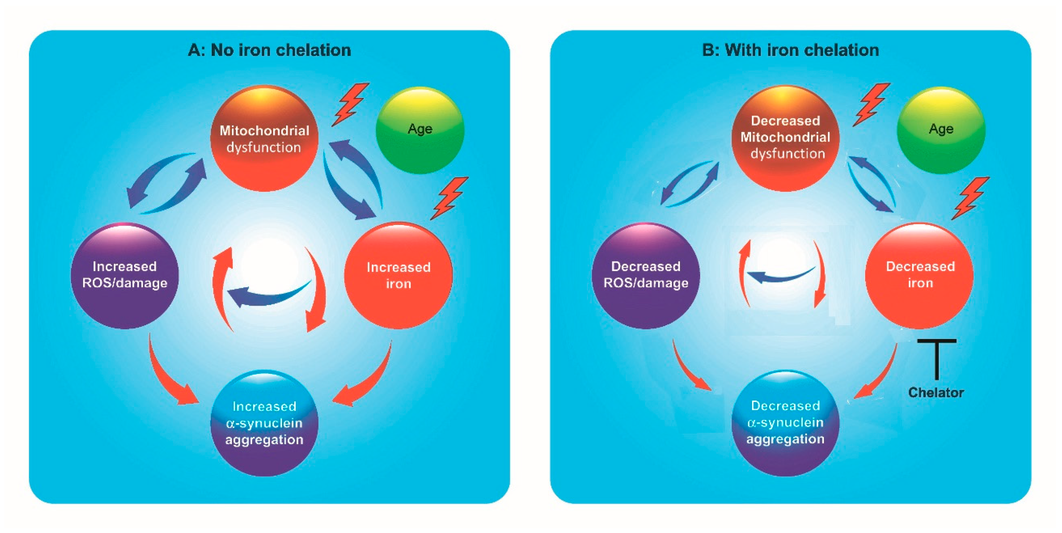 Pharmaceuticals | Free Full-Text | New Perspectives in Iron Chelation  Therapy for the Treatment of Neurodegenerative Diseases