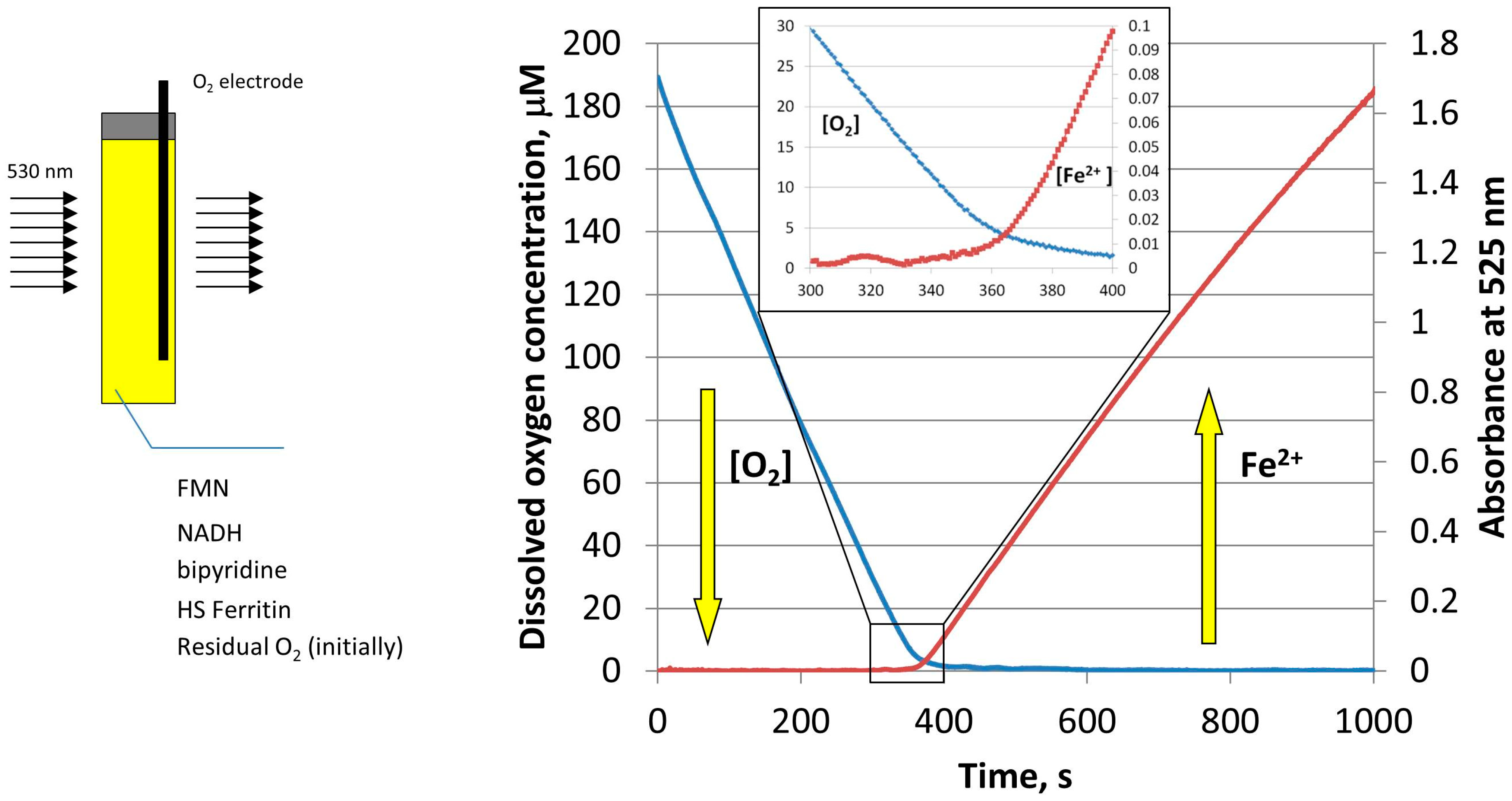 Pharmaceuticals 11 00120 g004