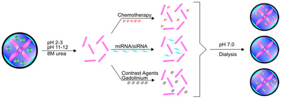 Pharmaceuticals | Free Full-Text | Emerging and Dynamic Biomedical Uses ...