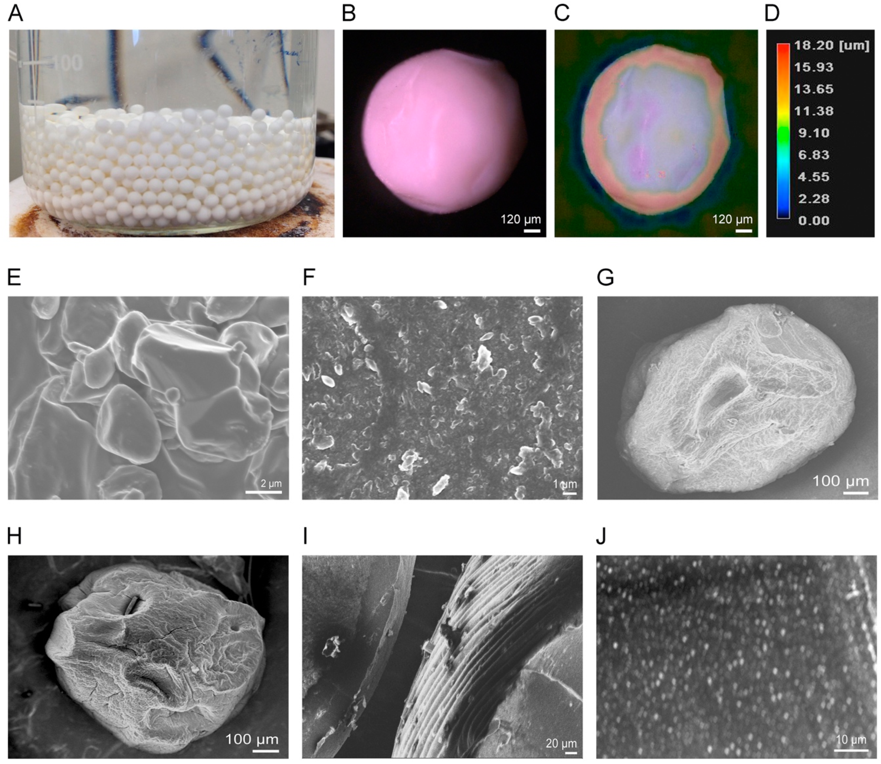 Pharmaceuticals 12 00109 g006 Pharmaceuticals 12 00109 g006