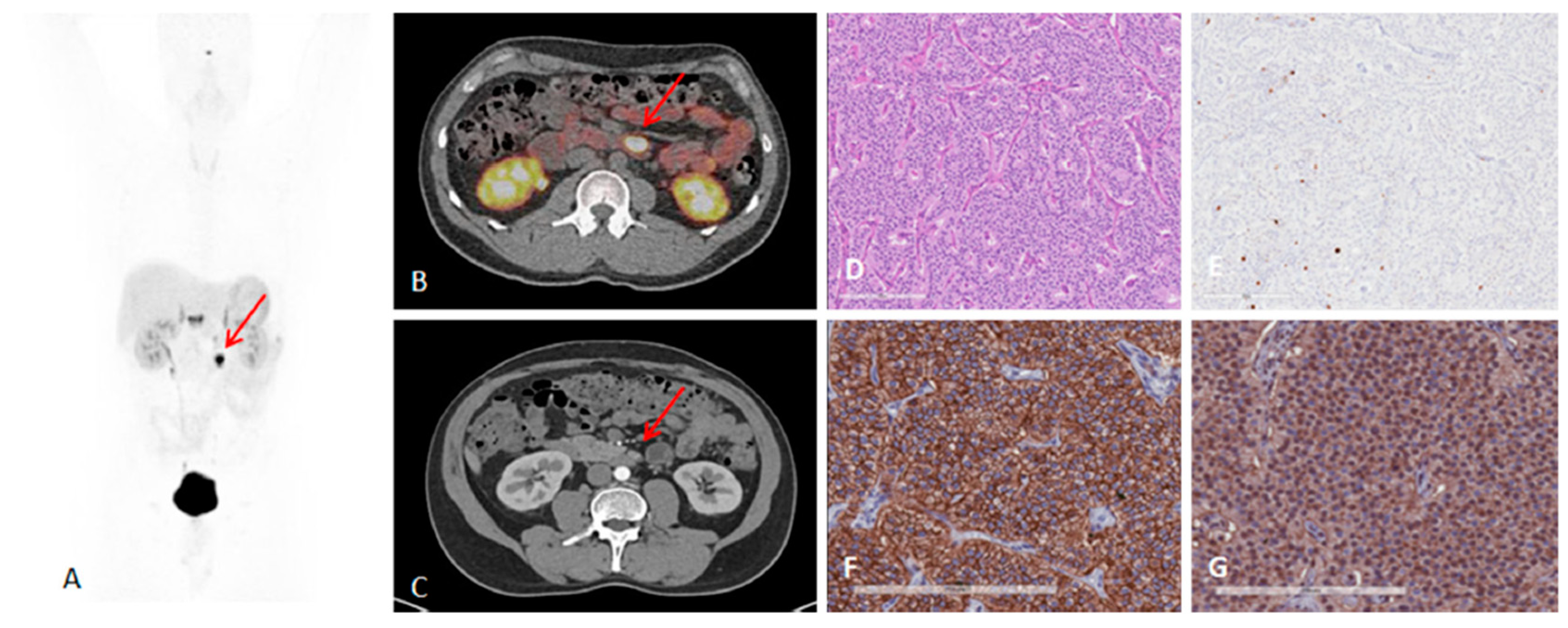 Pharmaceuticals 13 00039 g004 Pharmaceuticals 13 00039 g004
