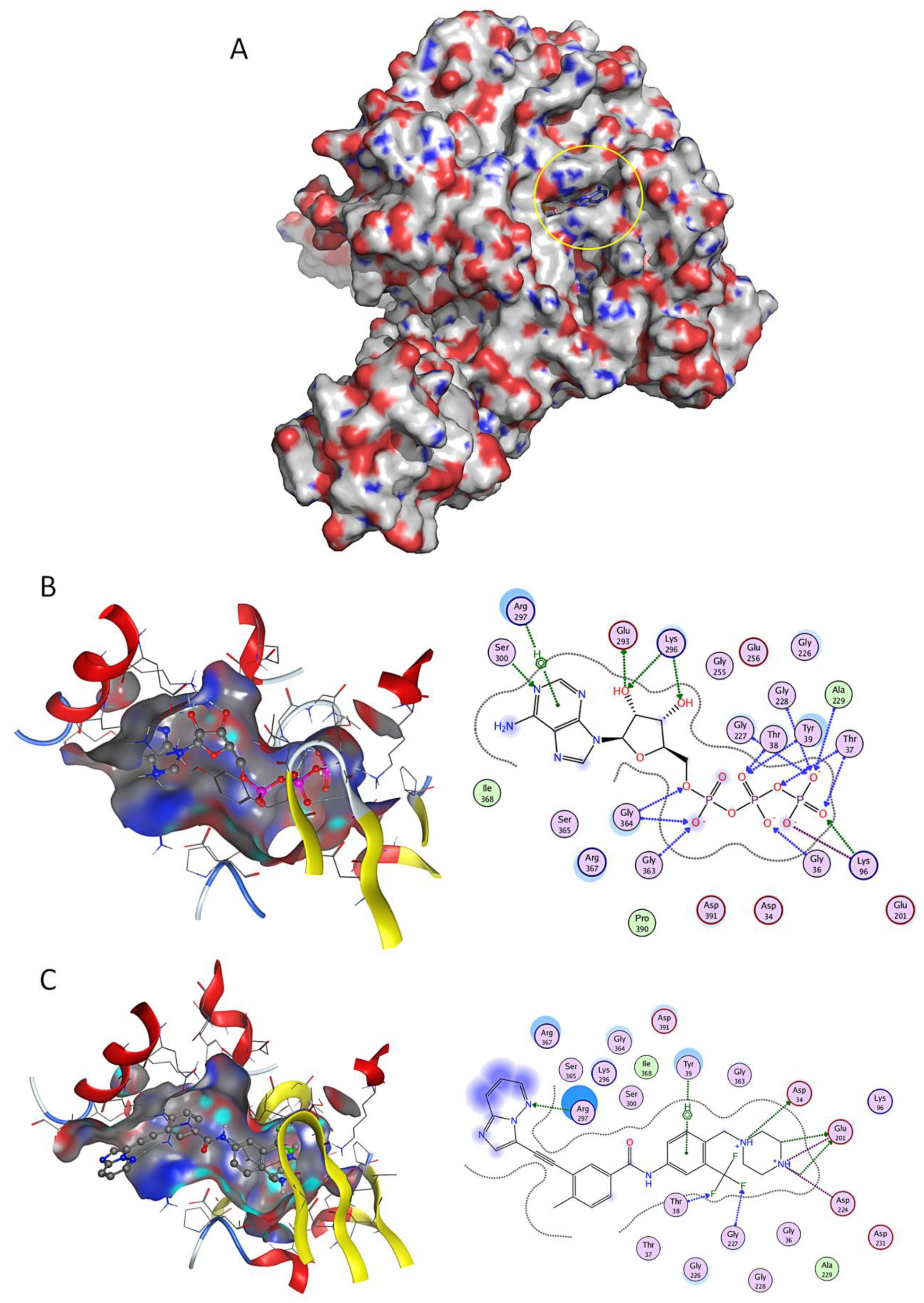 Pharmaceuticals 13 00132 g001 Pharmaceuticals 13 00132 g001