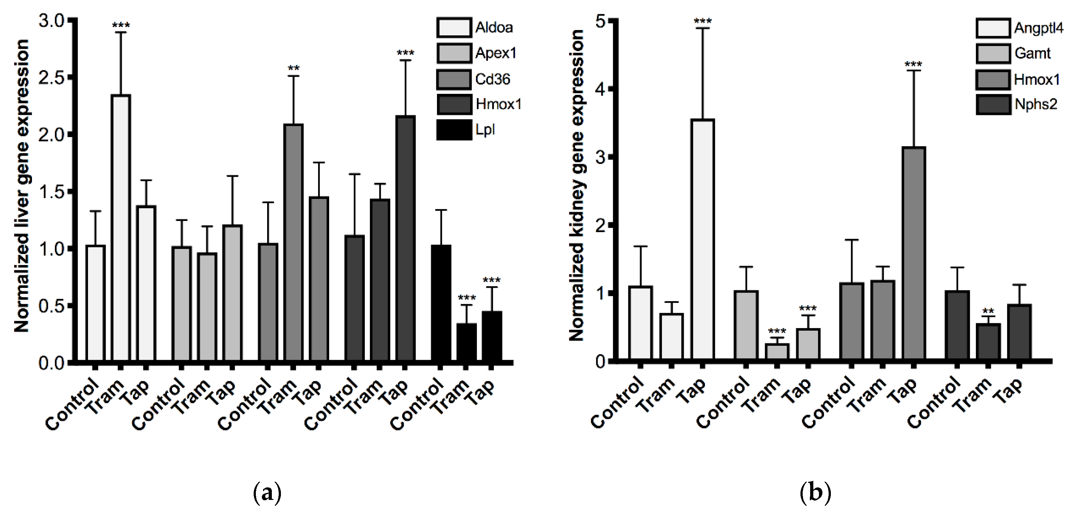 Pharmaceuticals Free Full Text Repeated Administration Of Clinical Doses Of Tramadol And Tapentadol Causes Hepato And Nephrotoxic Effects In Wistar Rats Html