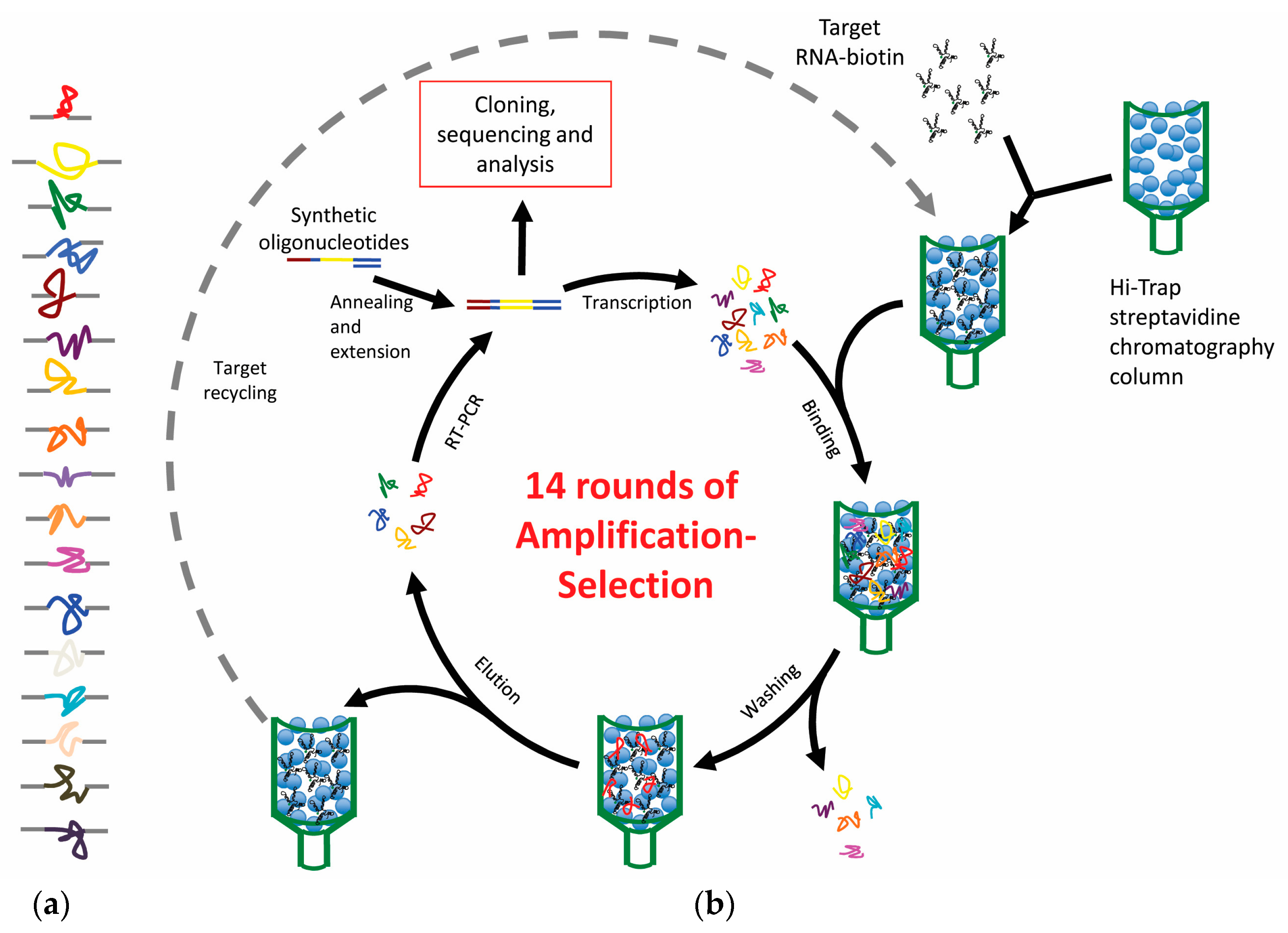 Pharmaceuticals 13 00157 g003