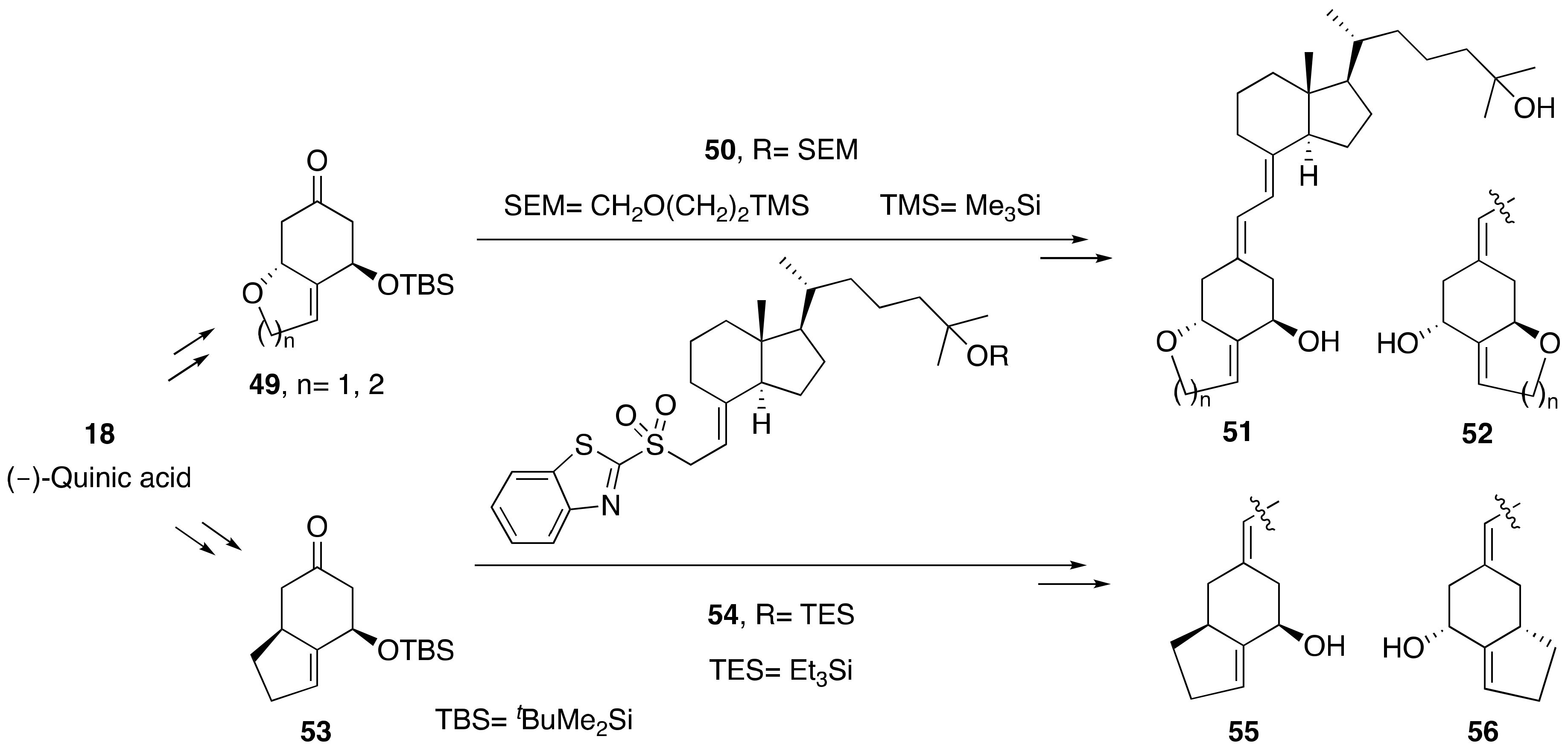 Pharmaceuticals 13 00159 sch010 Pharmaceuticals 13 00159 sch010