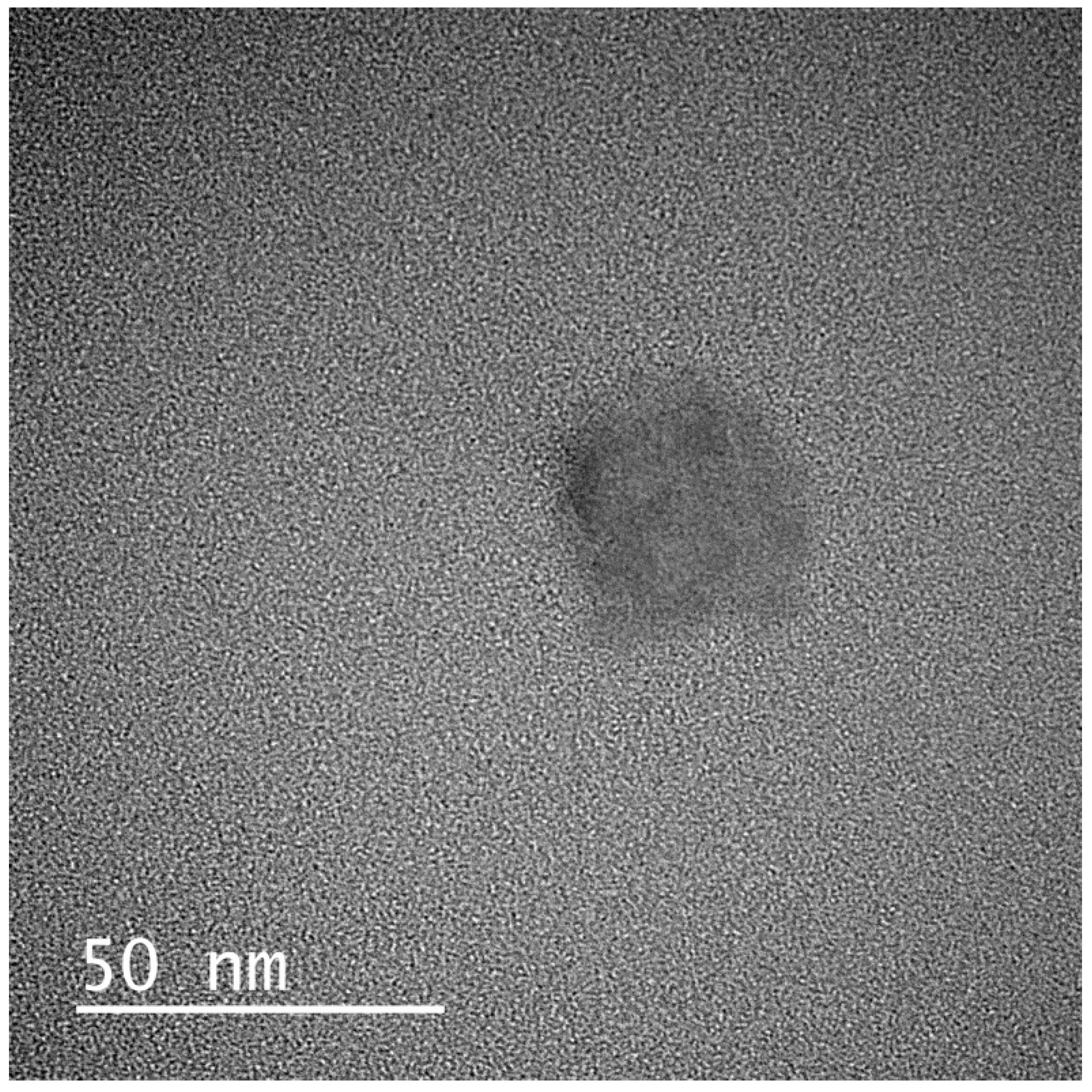 Pharmaceuticals 13 00162 g005