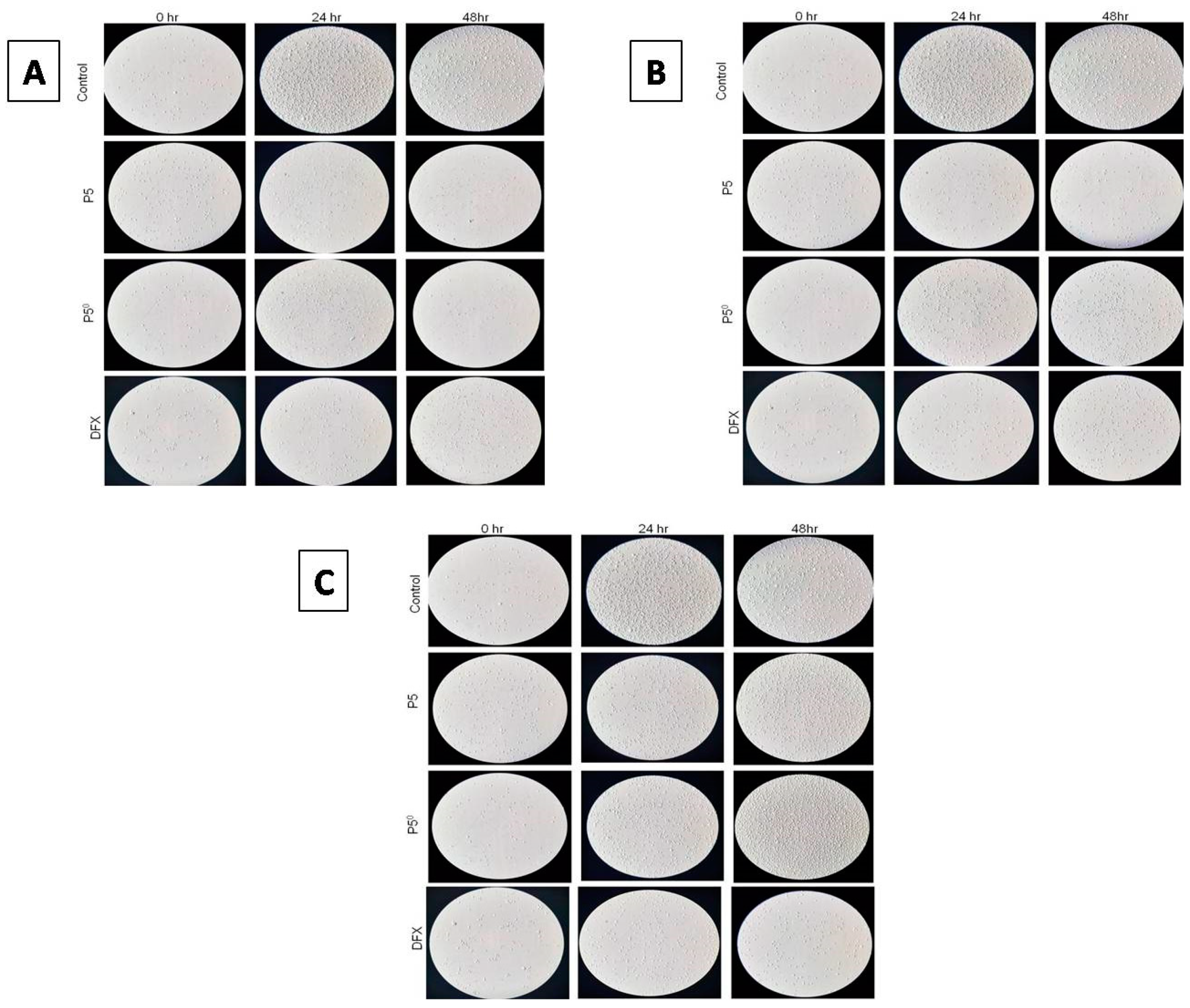 Pharmaceuticals 13 00162 g007