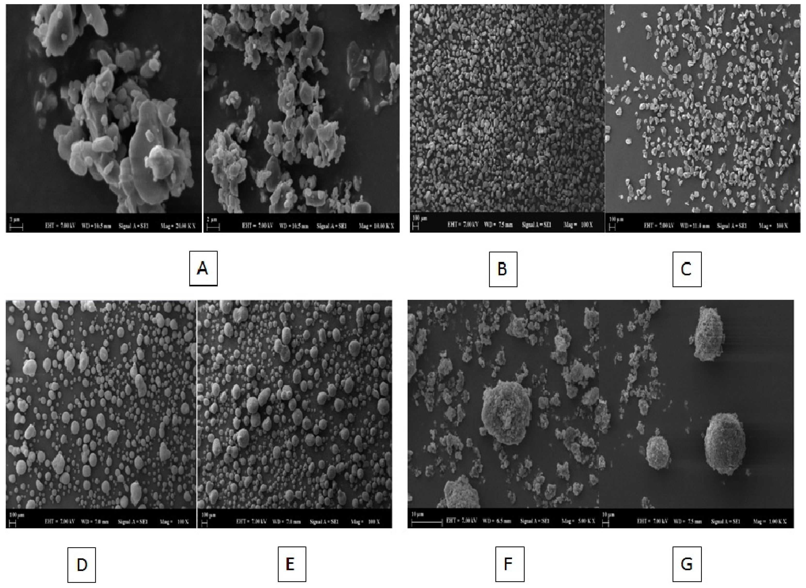 Pharmaceuticals 13 00162 g008