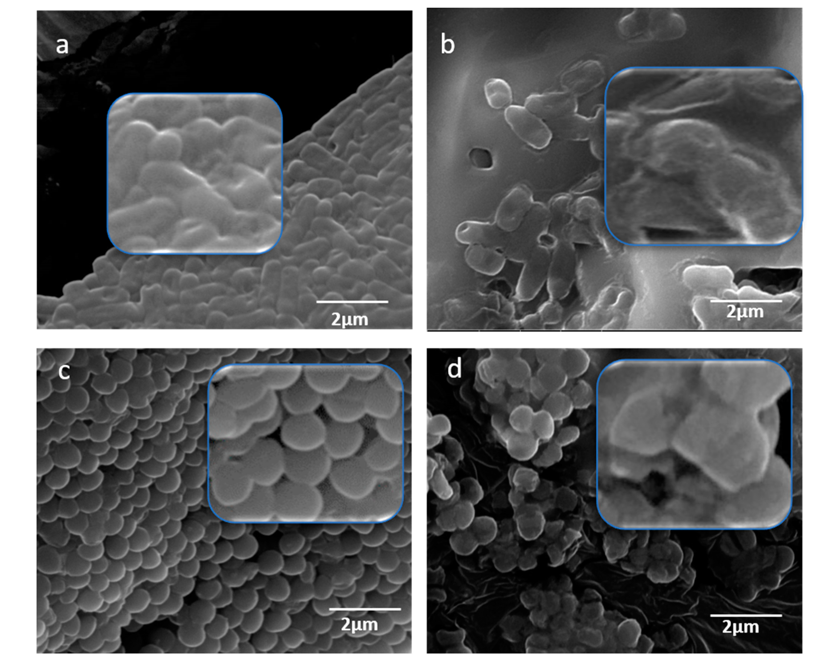 Pharmaceuticals 13 00193 g008 Pharmaceuticals 13 00193 g008
