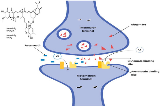 Pharmaceuticals Free Full Text Avermectin Derivatives