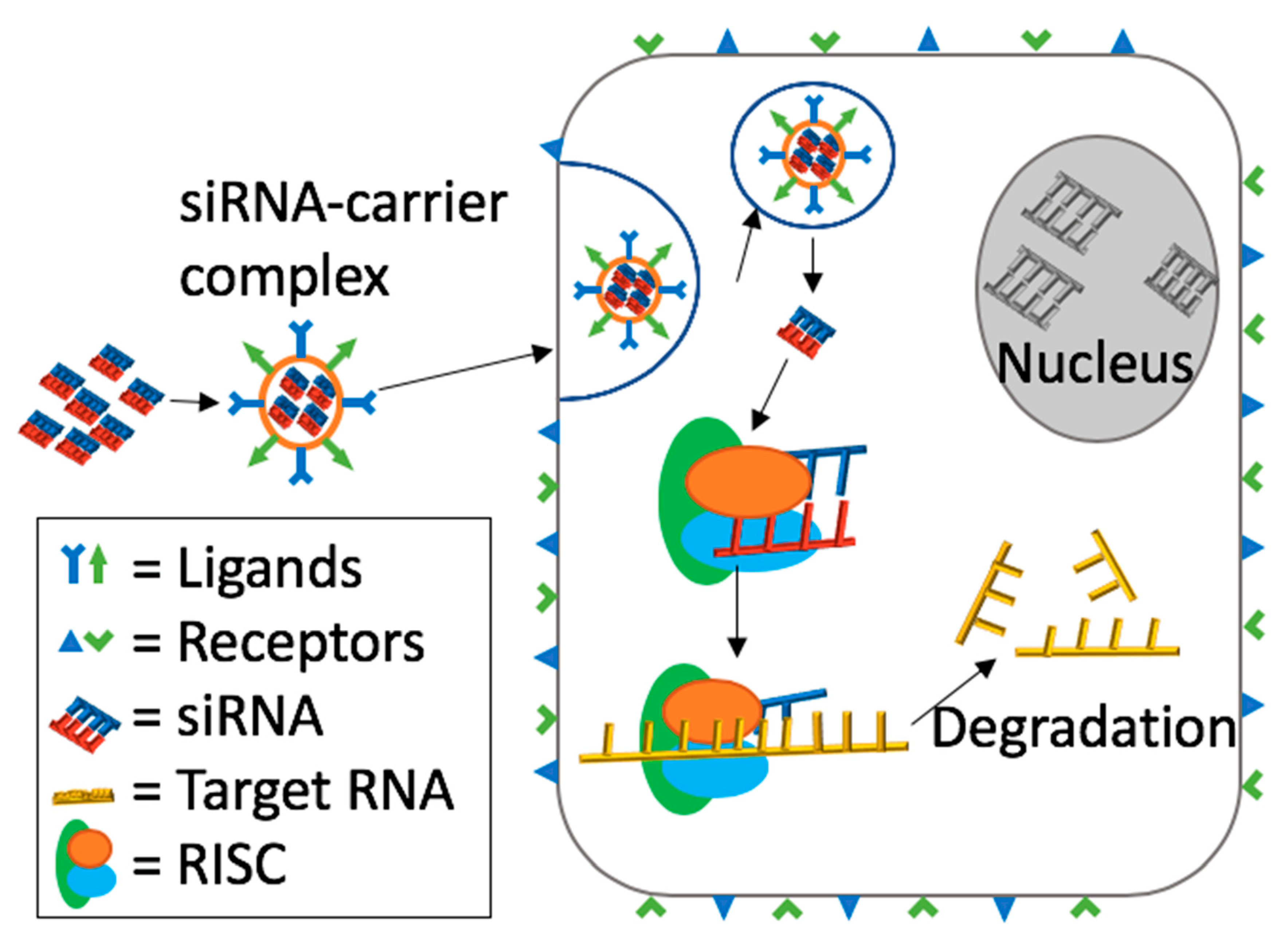 Pharmaceuticals 13 00294 g008 Pharmaceuticals 13 00294 g008