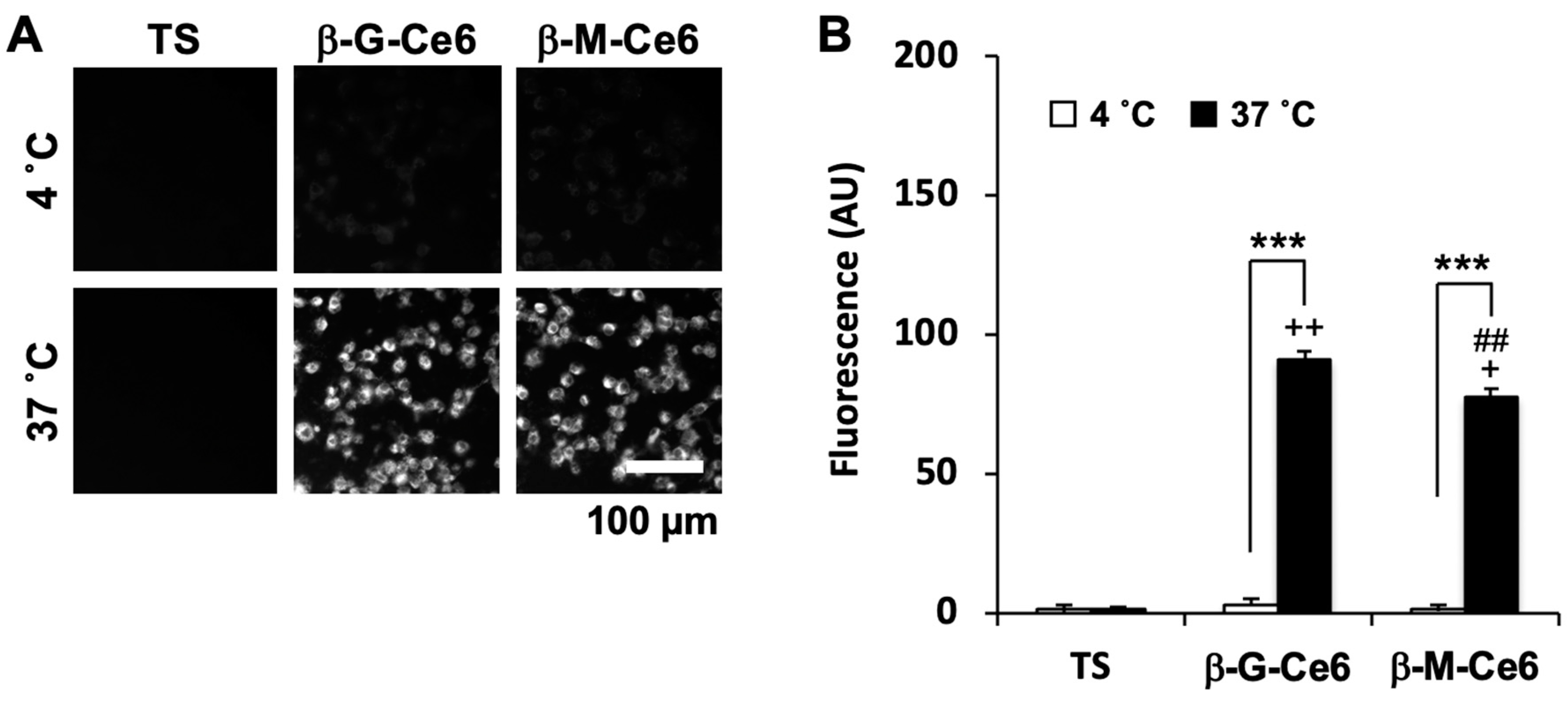 Pharmaceuticals 13 00316 g004