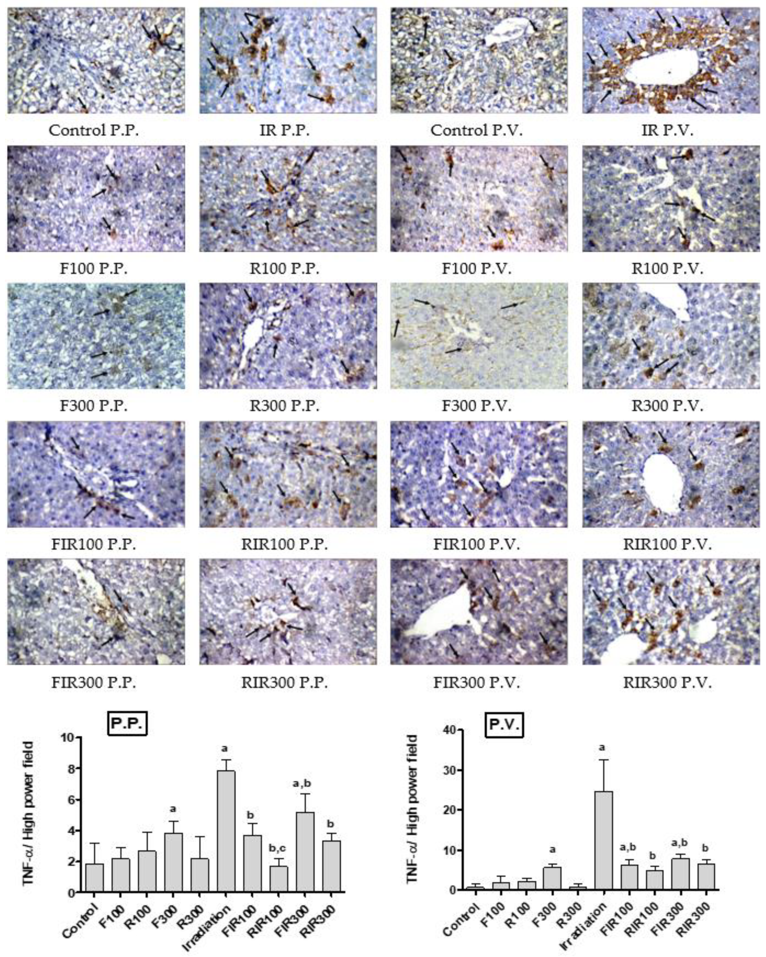 Pharmaceuticals 13 00320 g006