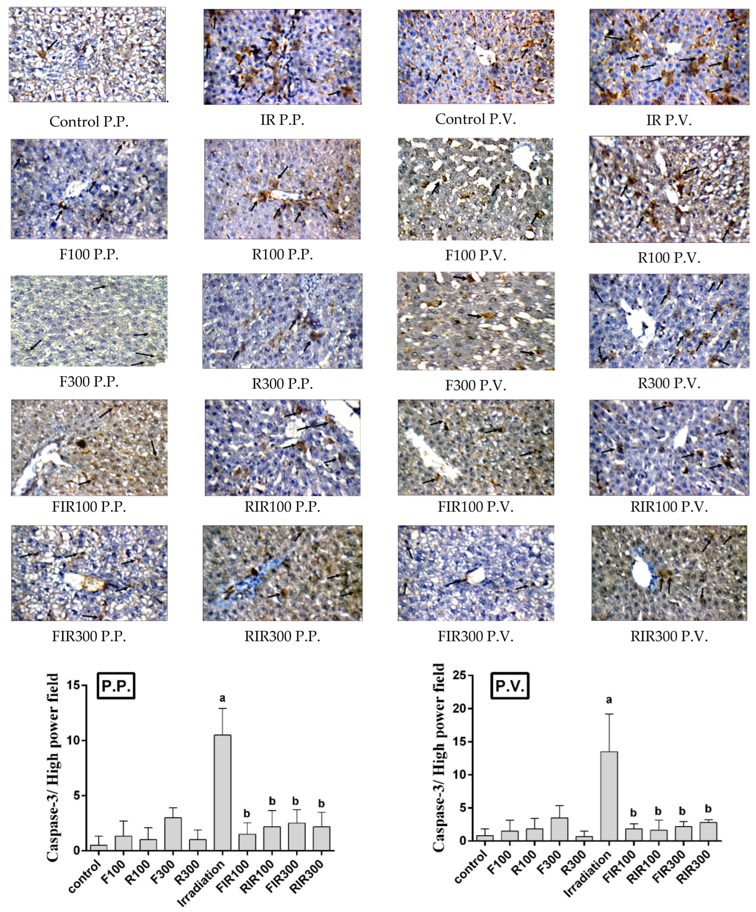 Pharmaceuticals 13 00320 g008