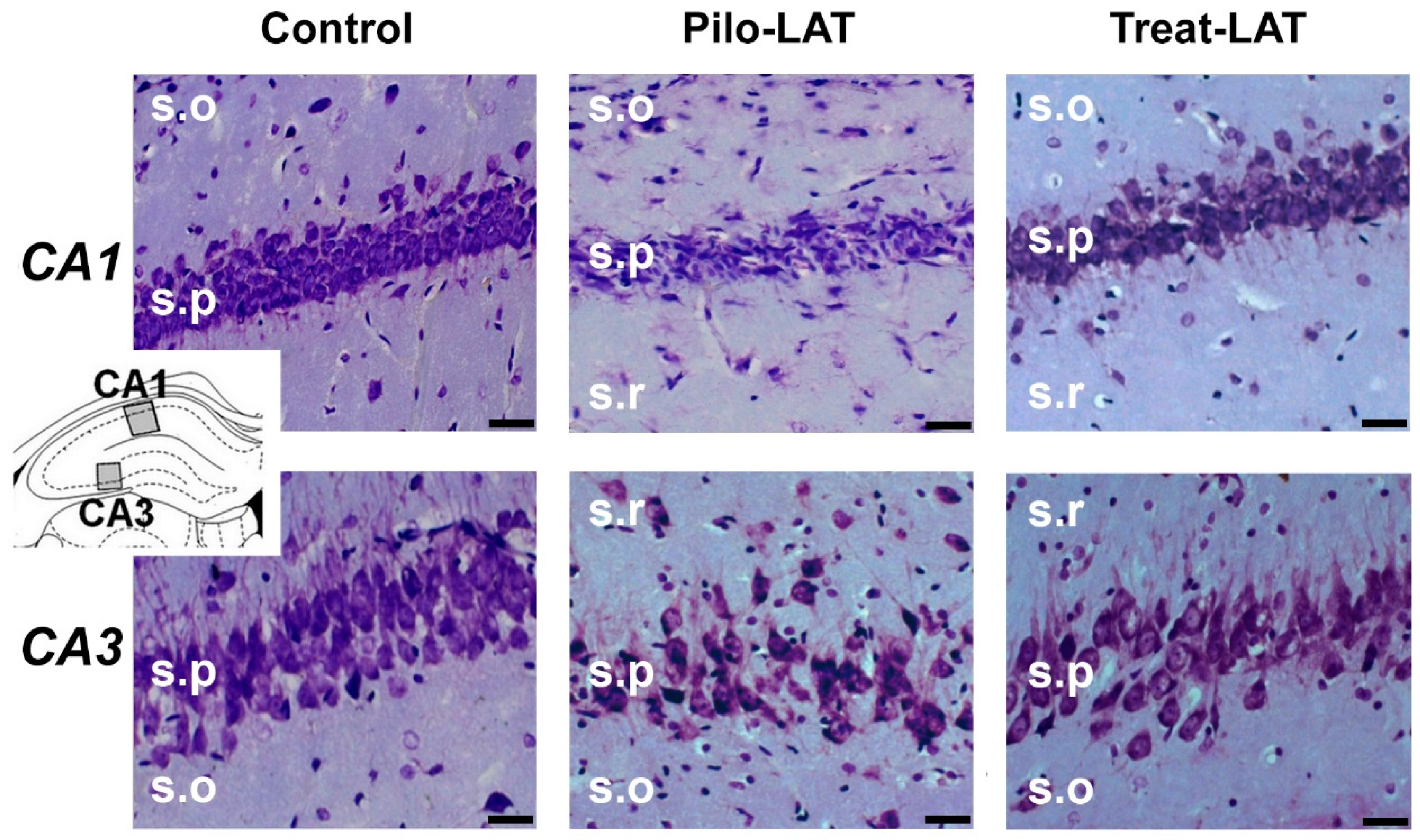 Pharmaceuticals 13 00340 g003 Pharmaceuticals 13 00340 g003