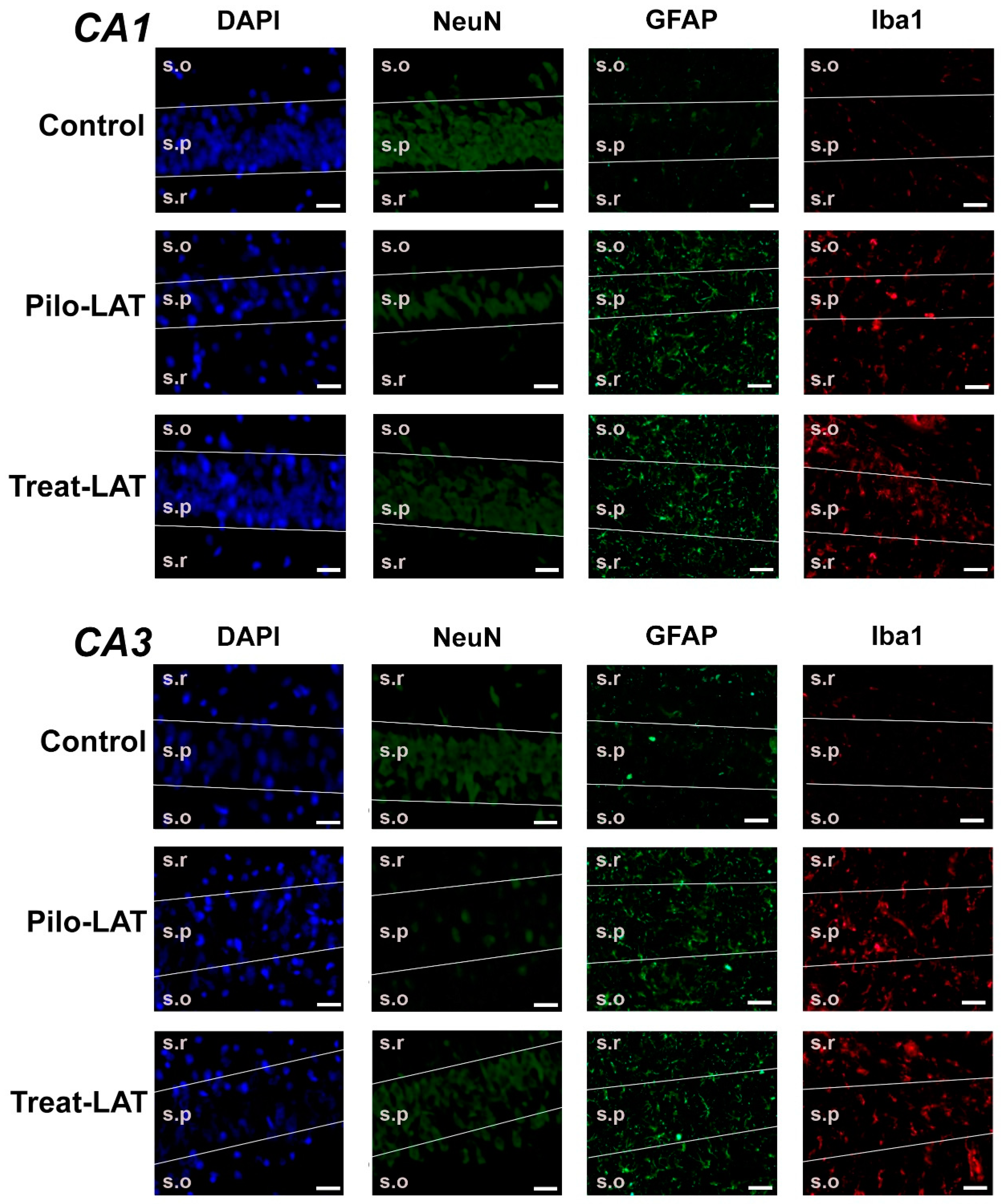 Pharmaceuticals 13 00340 g004 Pharmaceuticals 13 00340 g004