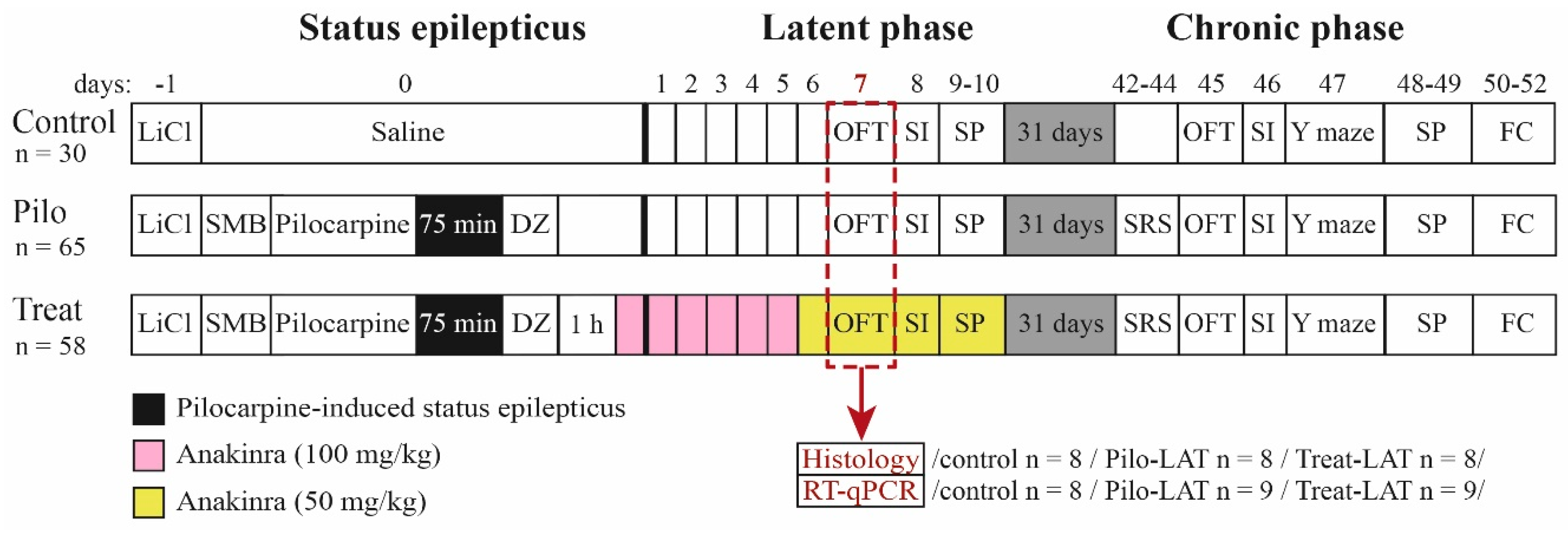 Pharmaceuticals 13 00340 g014 Pharmaceuticals 13 00340 g014