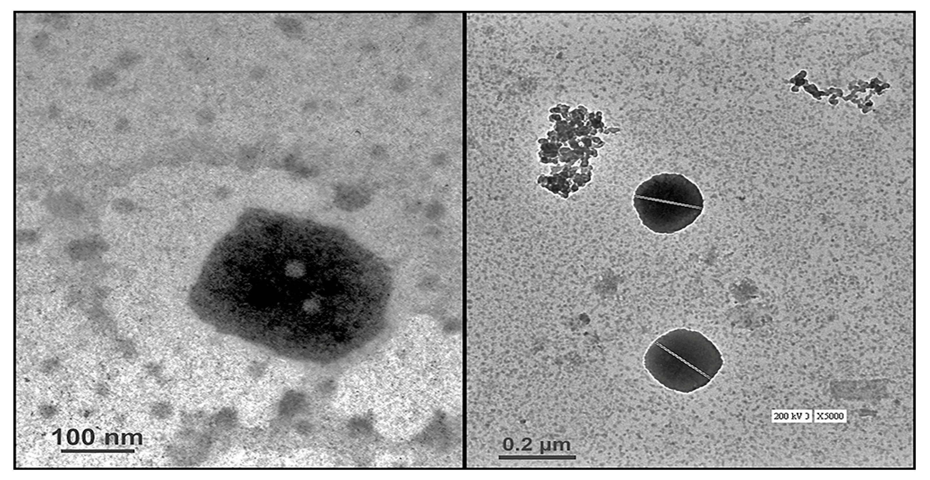 Pharmaceuticals 13 00356 g003