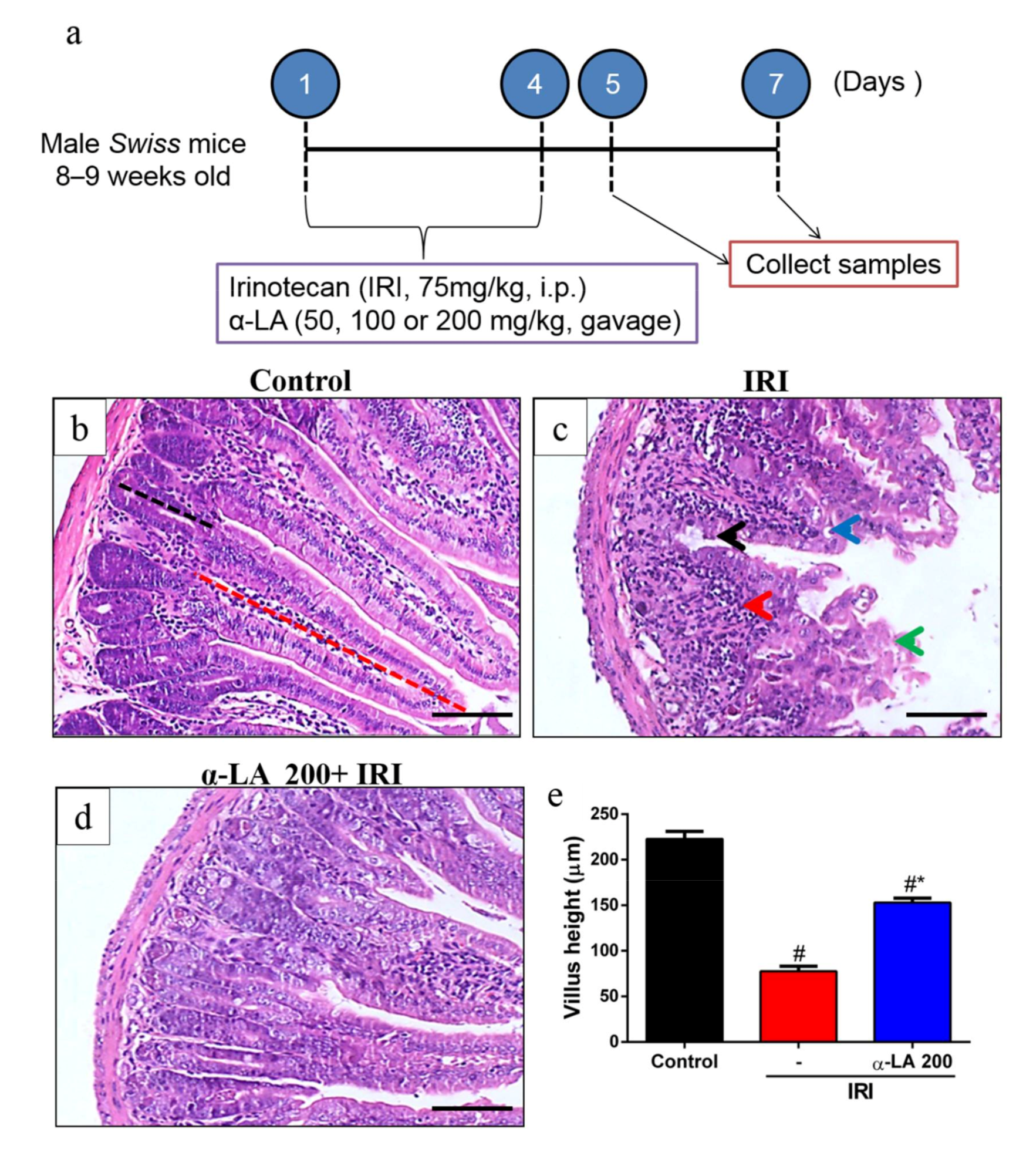 Pharmaceuticals 13 00361 g001 Pharmaceuticals 13 00361 g001