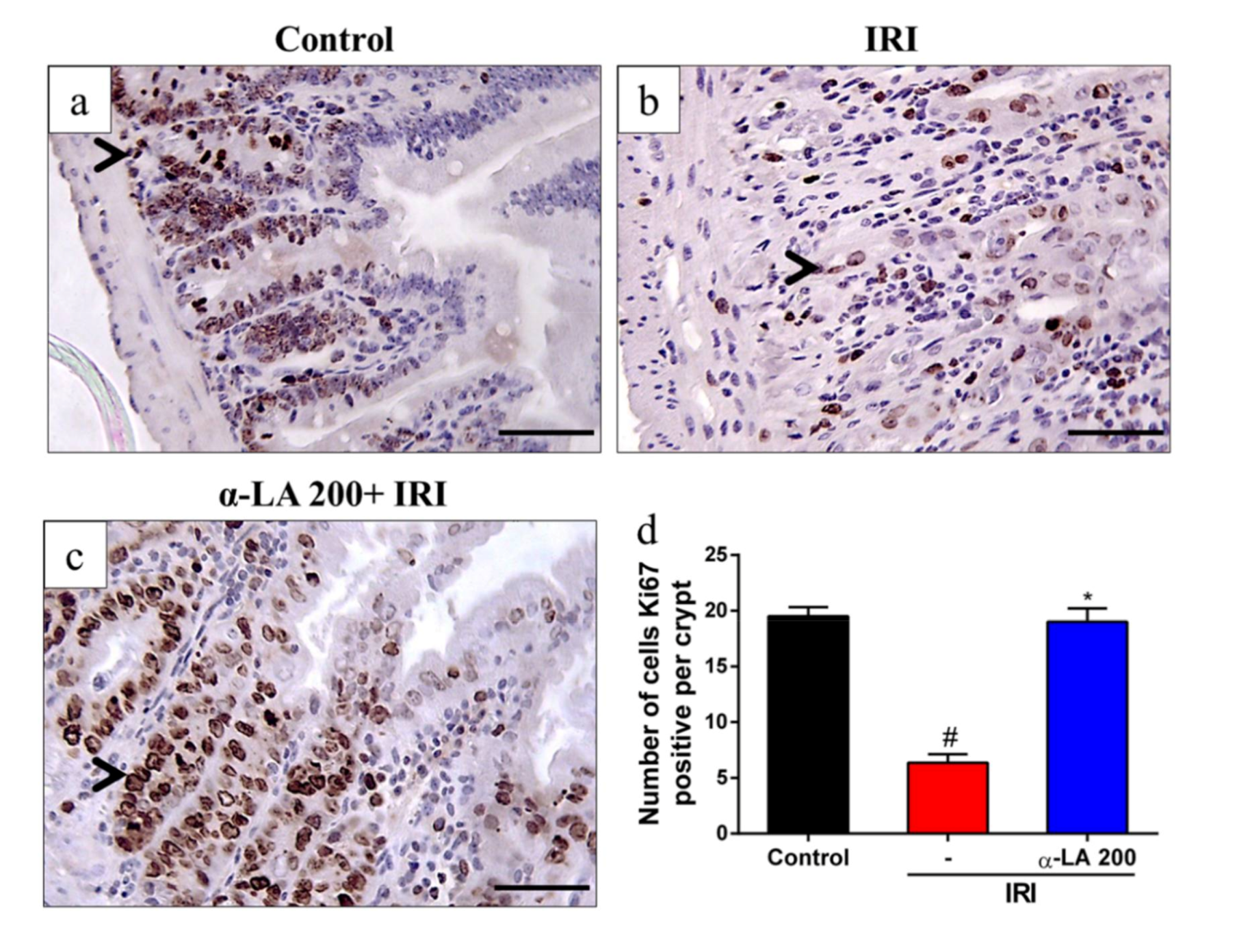 Pharmaceuticals 13 00361 g002 Pharmaceuticals 13 00361 g002