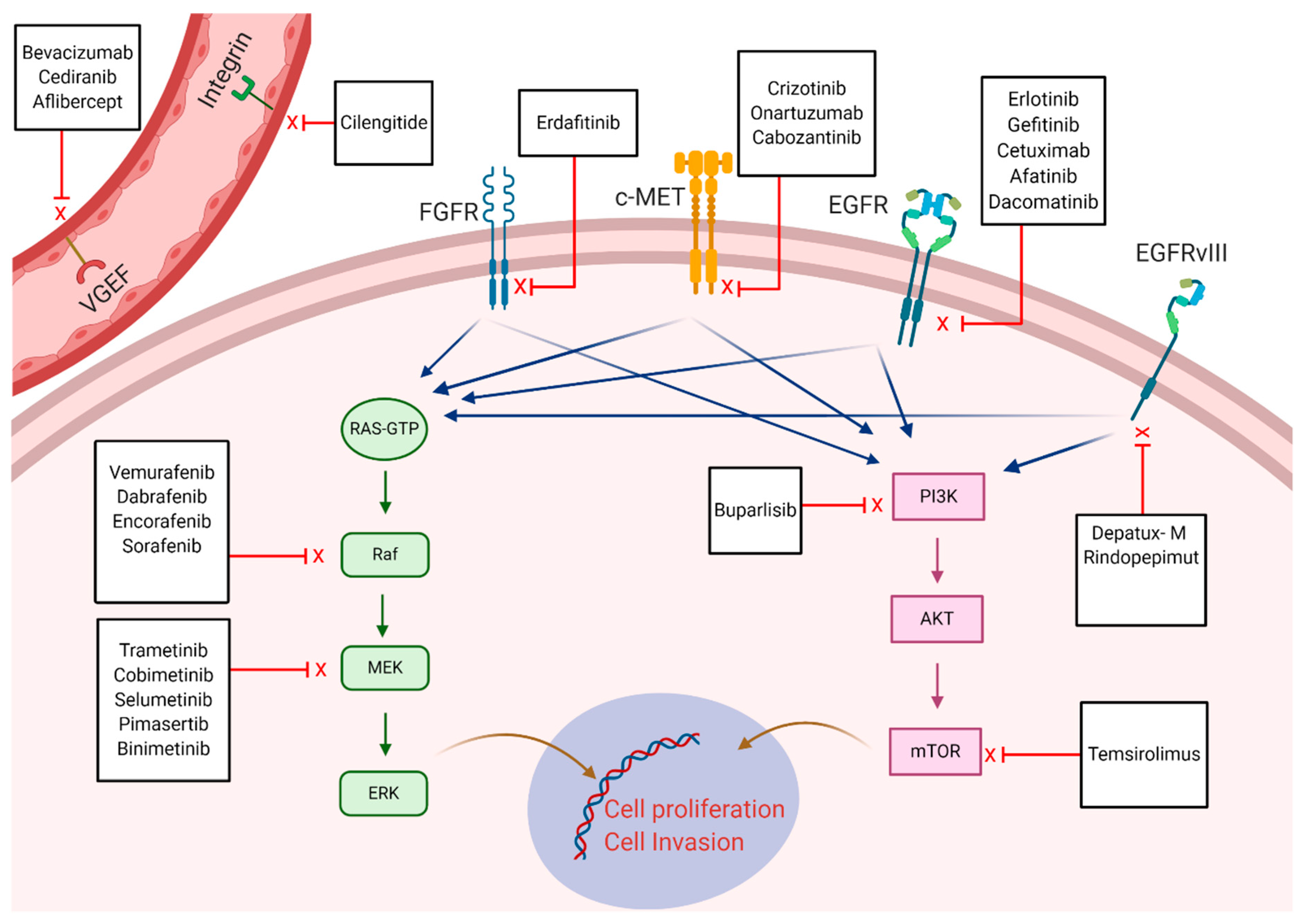 Pharmaceuticals 13 00389 g003