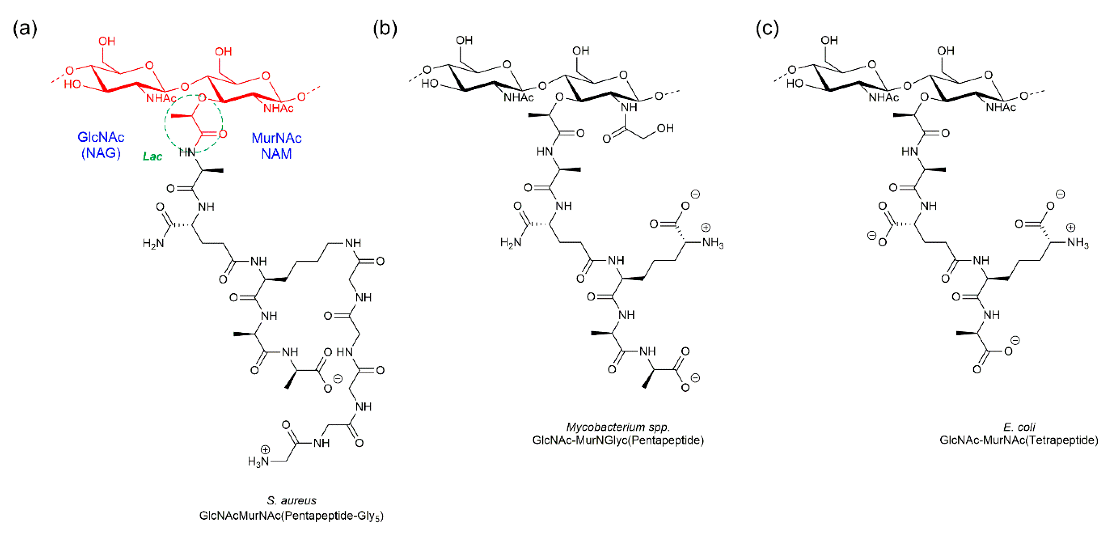 Pharmaceuticals 13 00392 g001 Pharmaceuticals 13 00392 g001