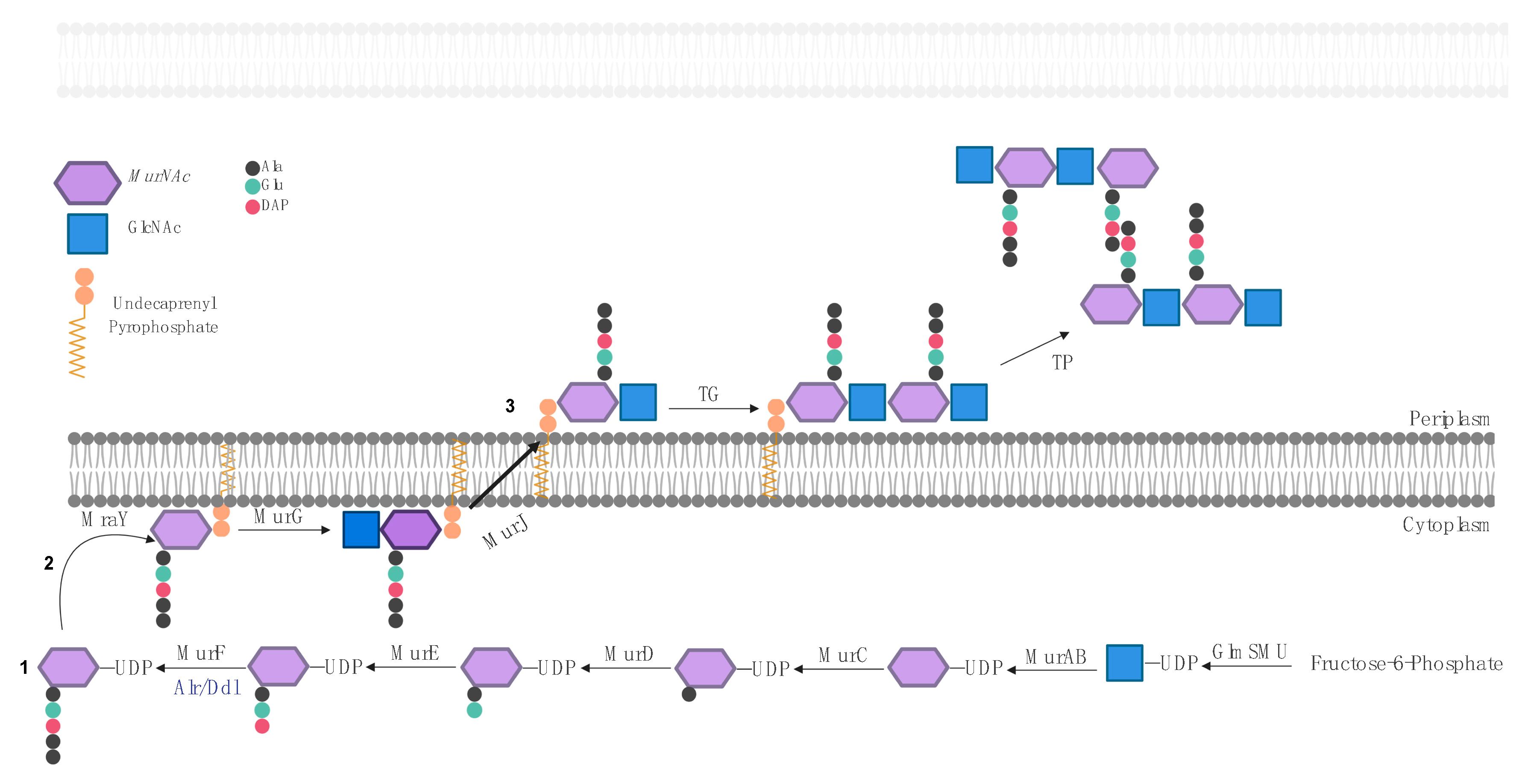 Pharmaceuticals 13 00392 g002 Pharmaceuticals 13 00392 g002