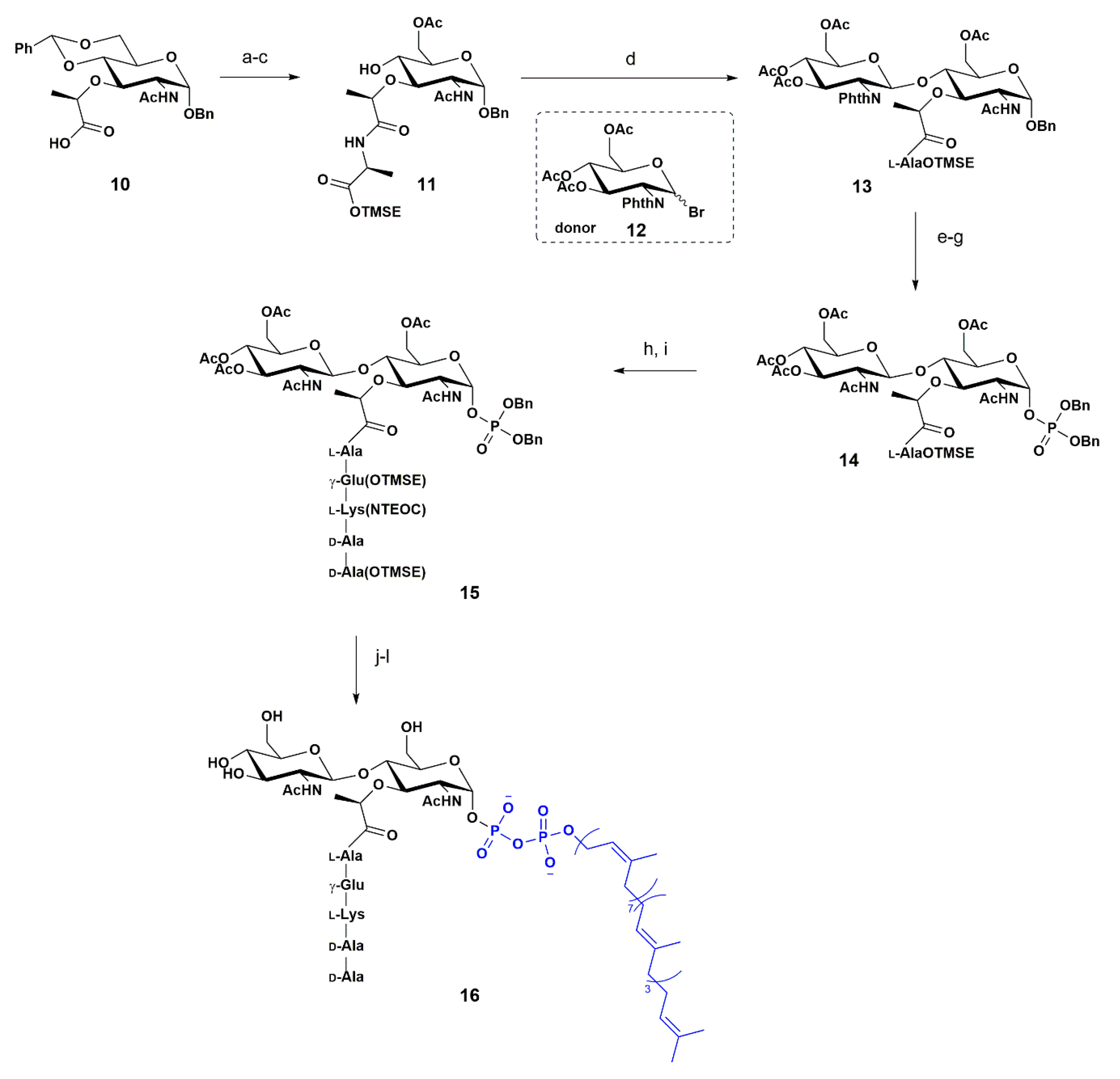 Pharmaceuticals 13 00392 sch002 Pharmaceuticals 13 00392 sch002