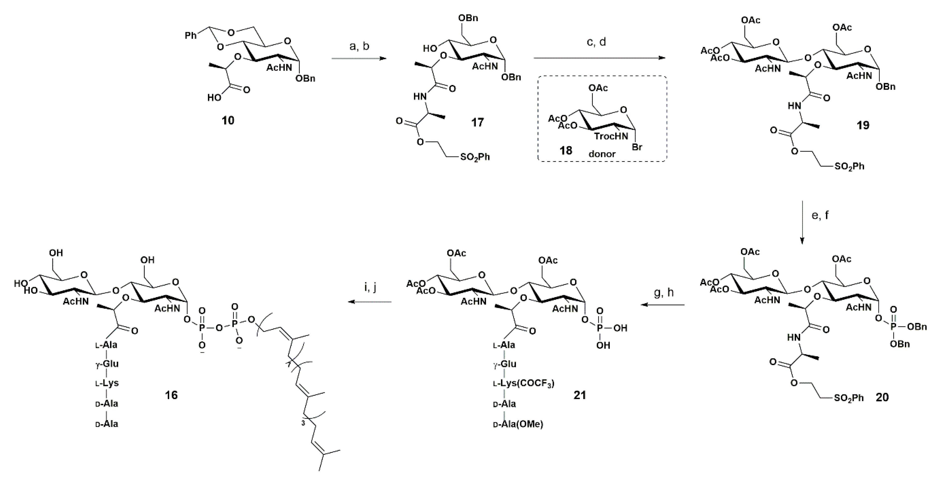 Pharmaceuticals 13 00392 sch003 Pharmaceuticals 13 00392 sch003
