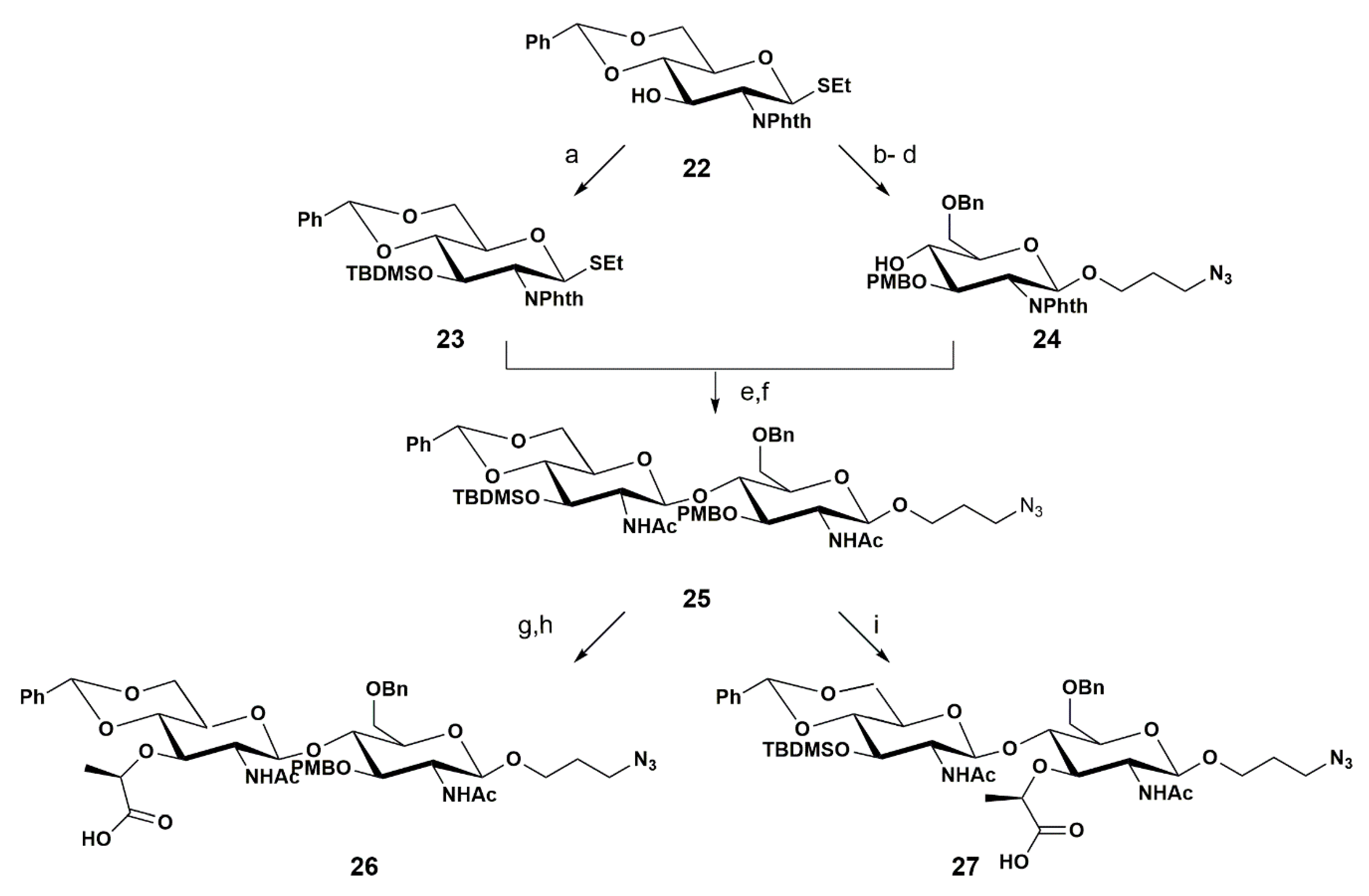 Pharmaceuticals 13 00392 sch004 Pharmaceuticals 13 00392 sch004