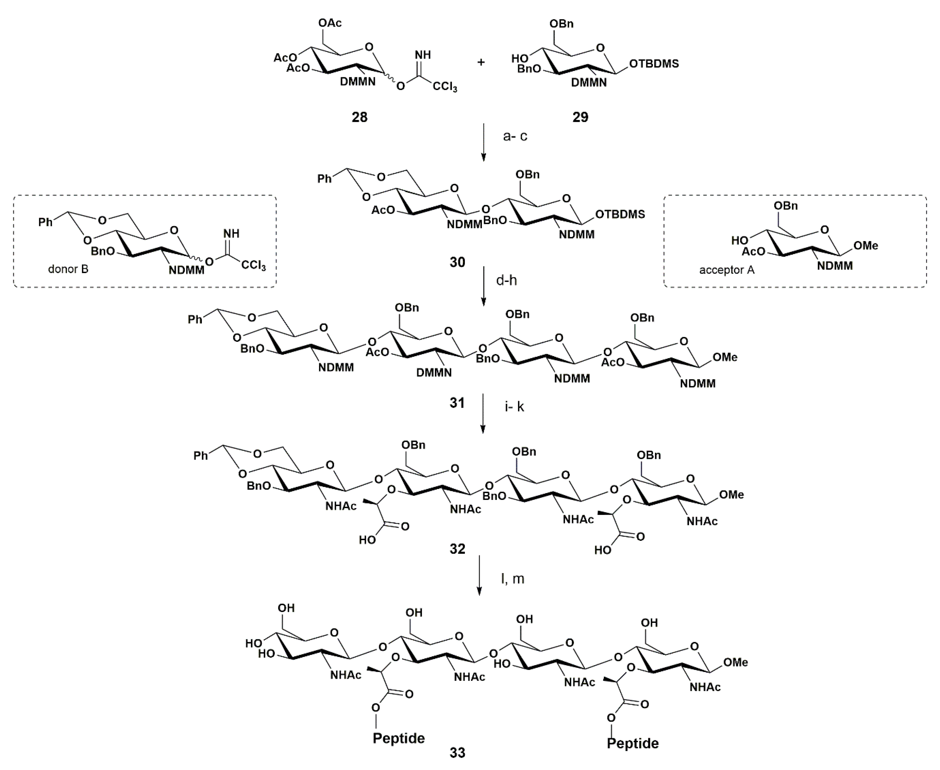 Pharmaceuticals 13 00392 sch005 Pharmaceuticals 13 00392 sch005