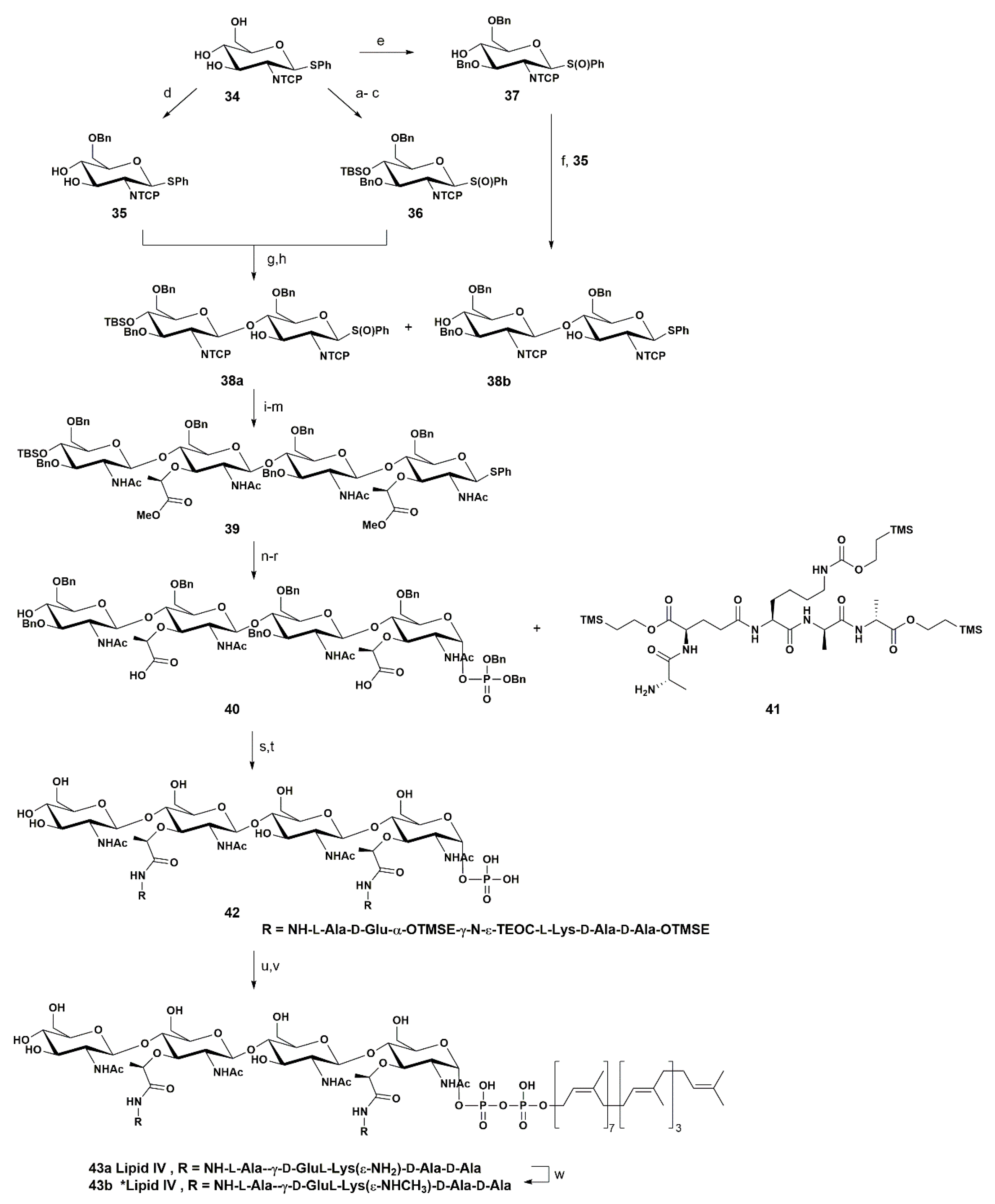Pharmaceuticals 13 00392 sch006 Pharmaceuticals 13 00392 sch006