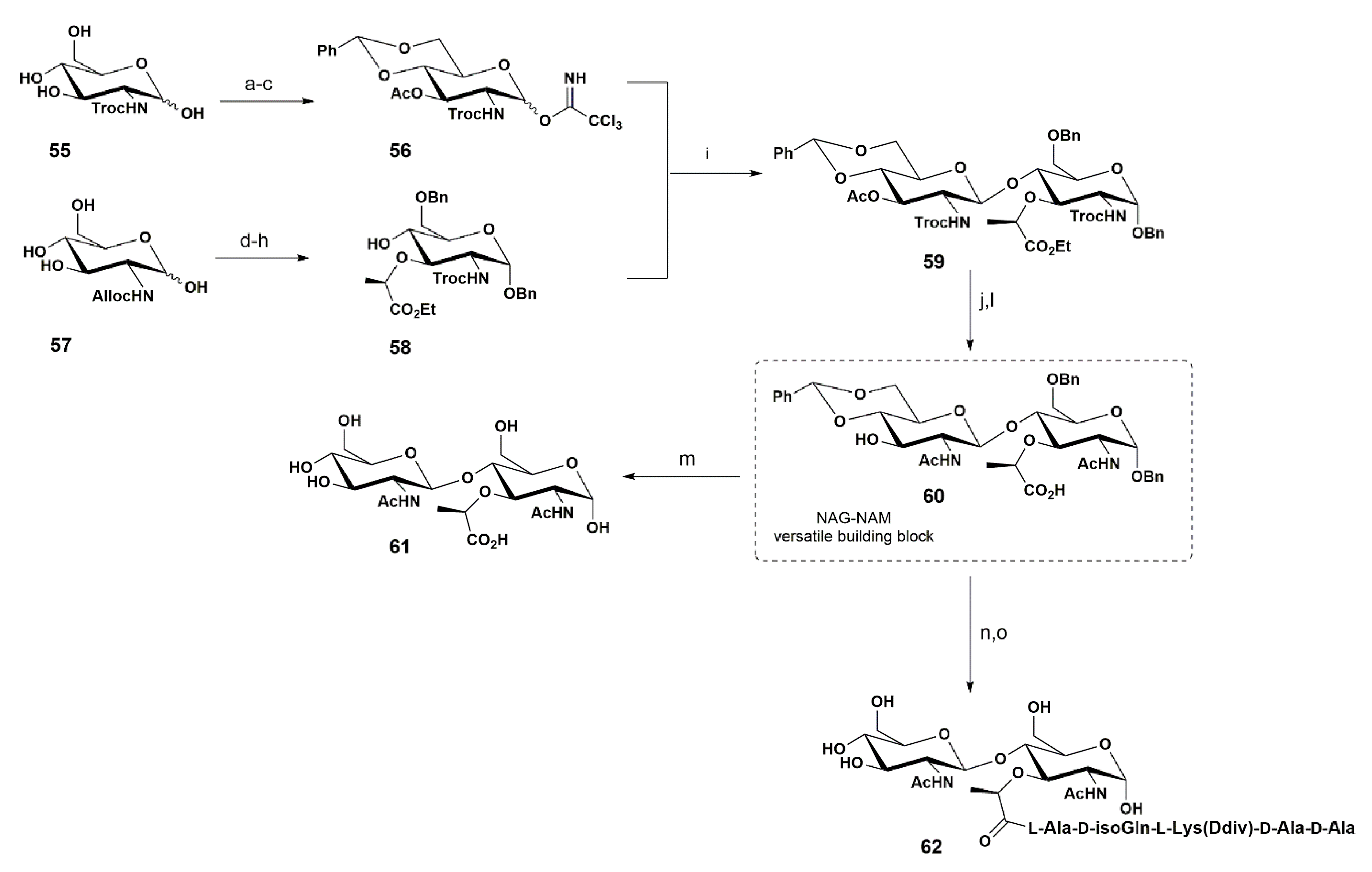 Pharmaceuticals 13 00392 sch009 Pharmaceuticals 13 00392 sch009