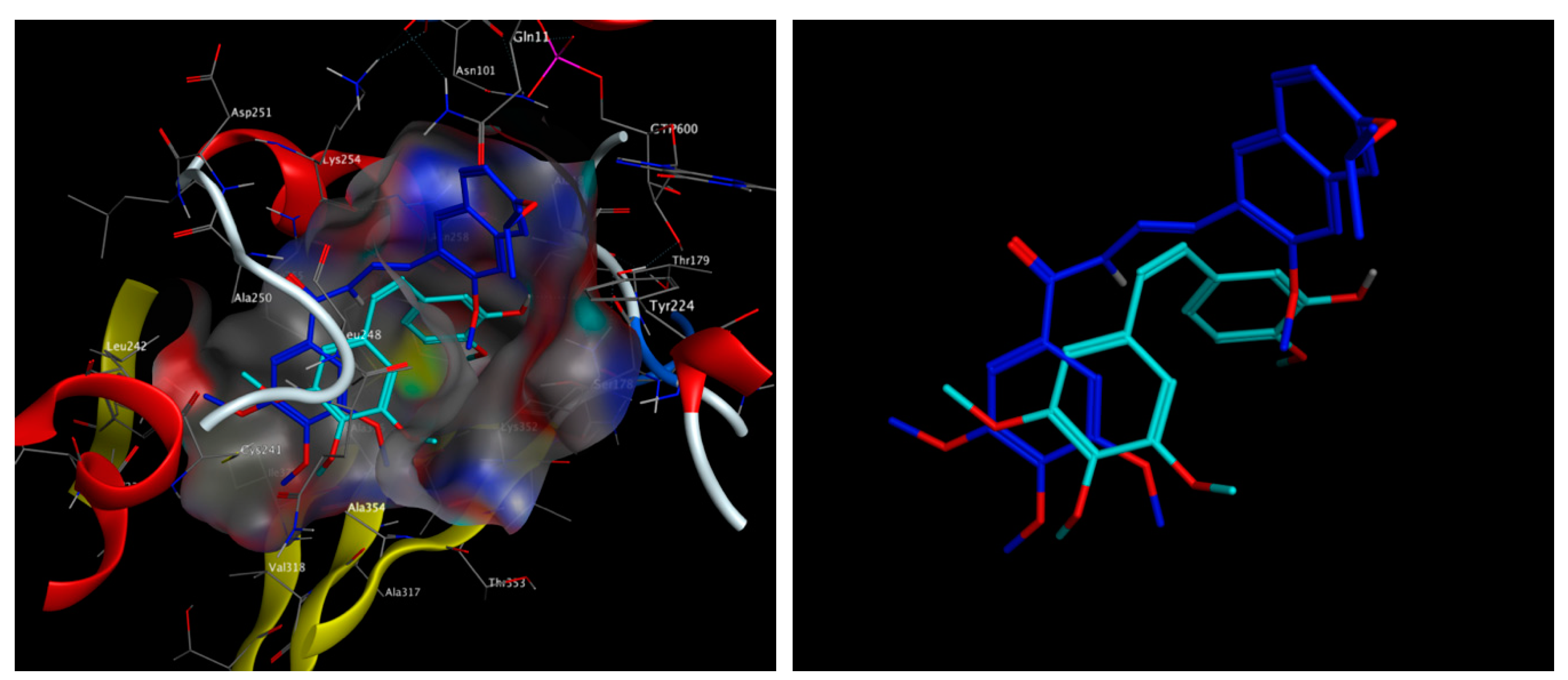 Pharmaceuticals 13 00393 g007 Pharmaceuticals 13 00393 g007