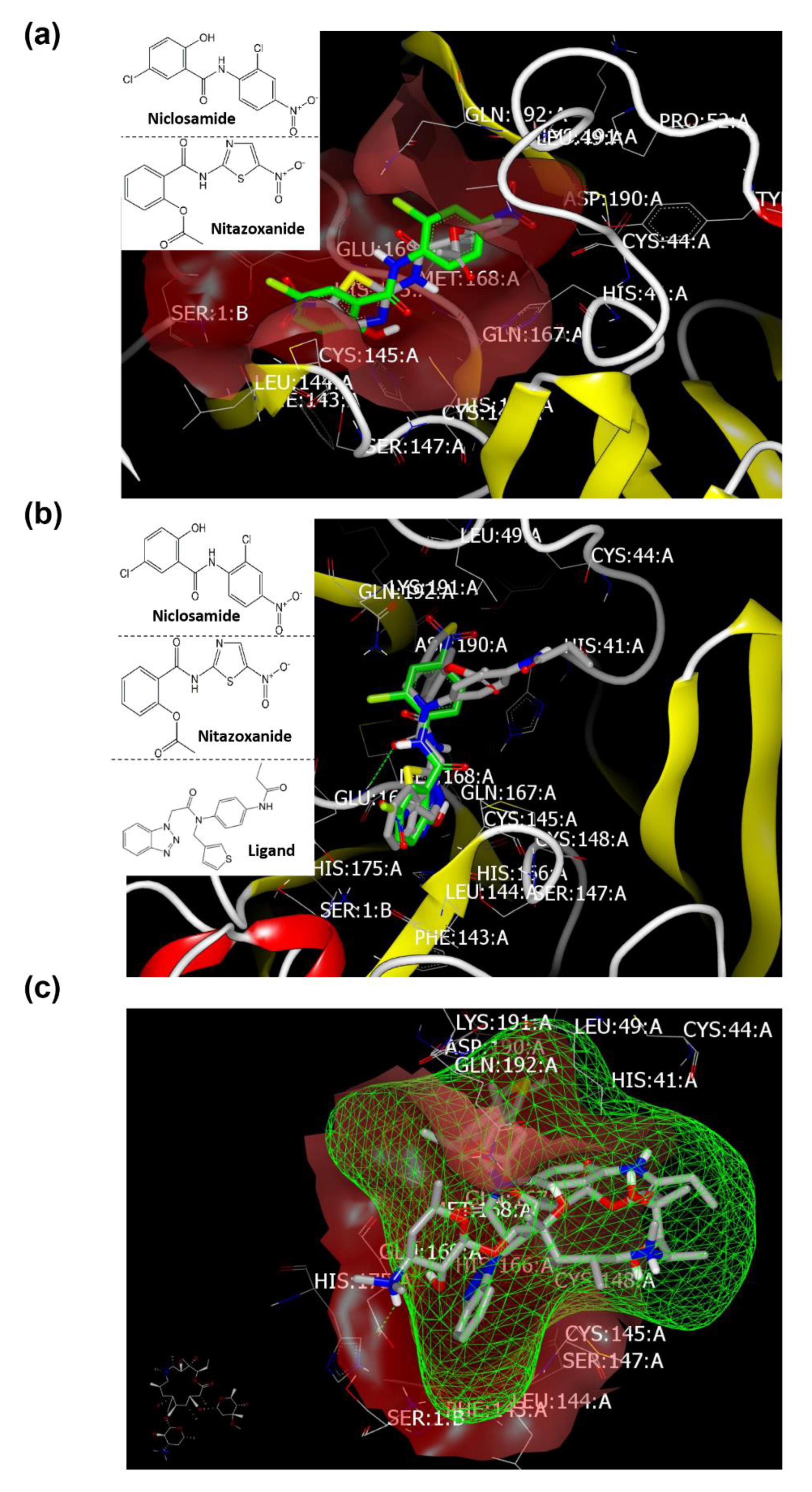 Pharmaceuticals 13 00443 g006 Pharmaceuticals 13 00443 g006