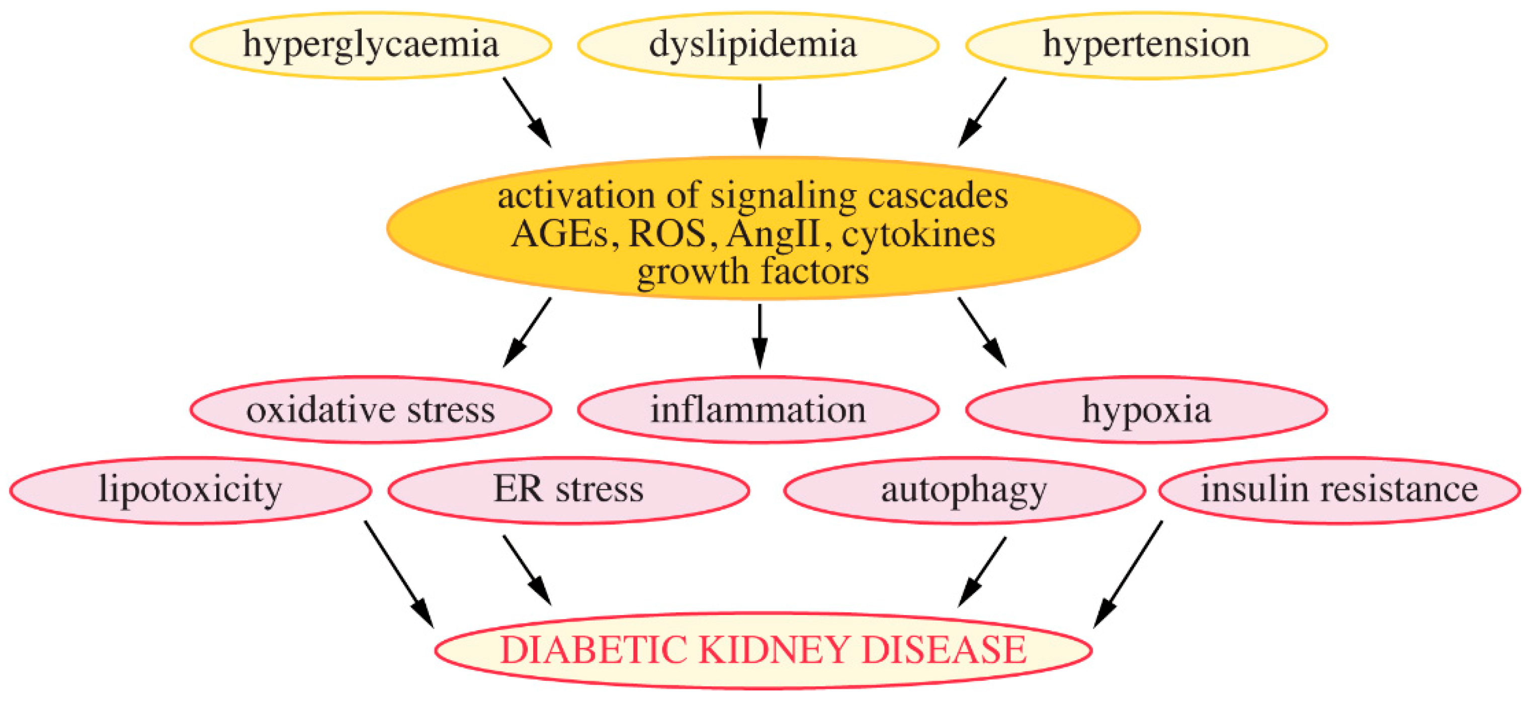 Pharmaceuticals 13 00452 g004